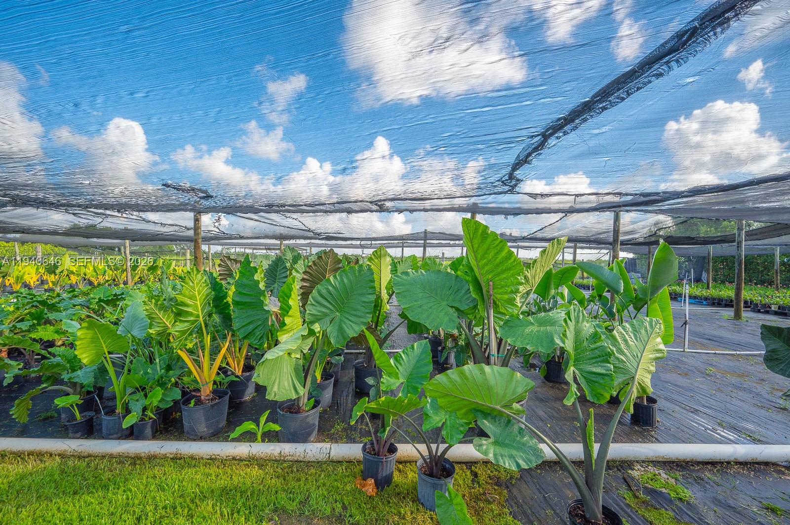 20750 SW 256th St Homestead, FL 33031