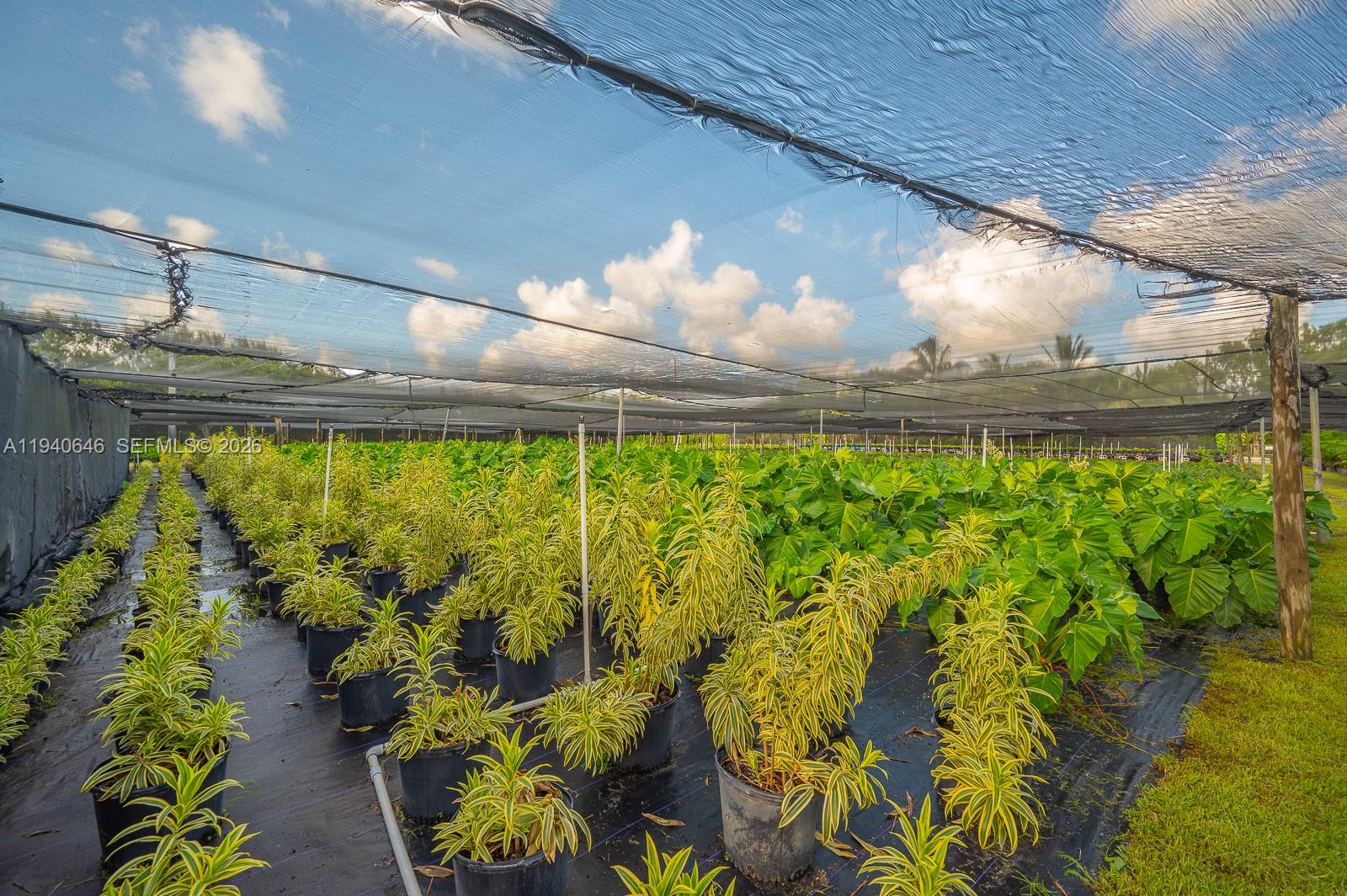 20750 SW 256th St Homestead, FL 33031