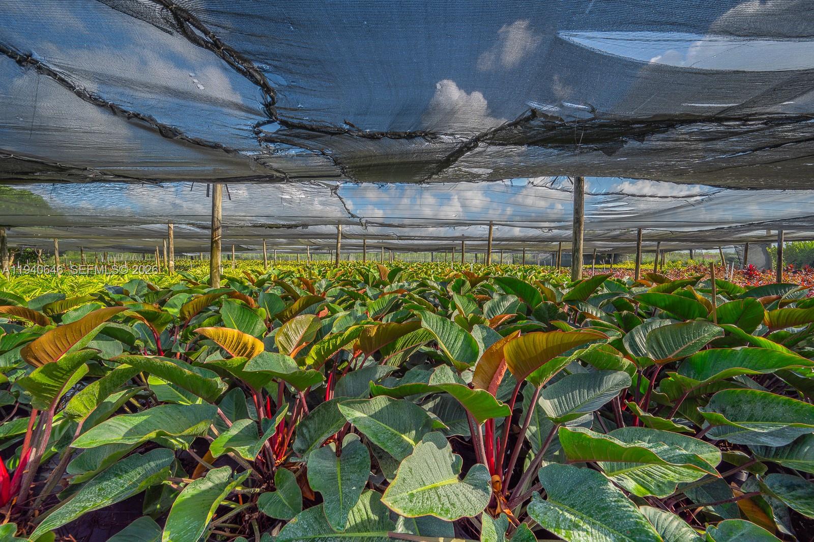 20750 SW 256th St Homestead, FL 33031