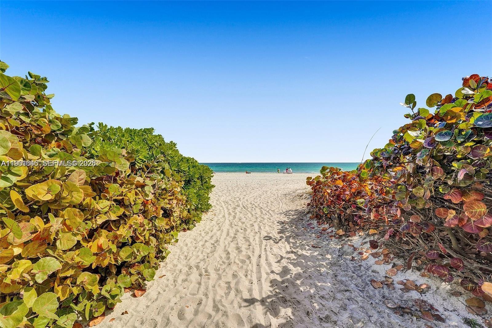 image Carlisle on the Ocean16