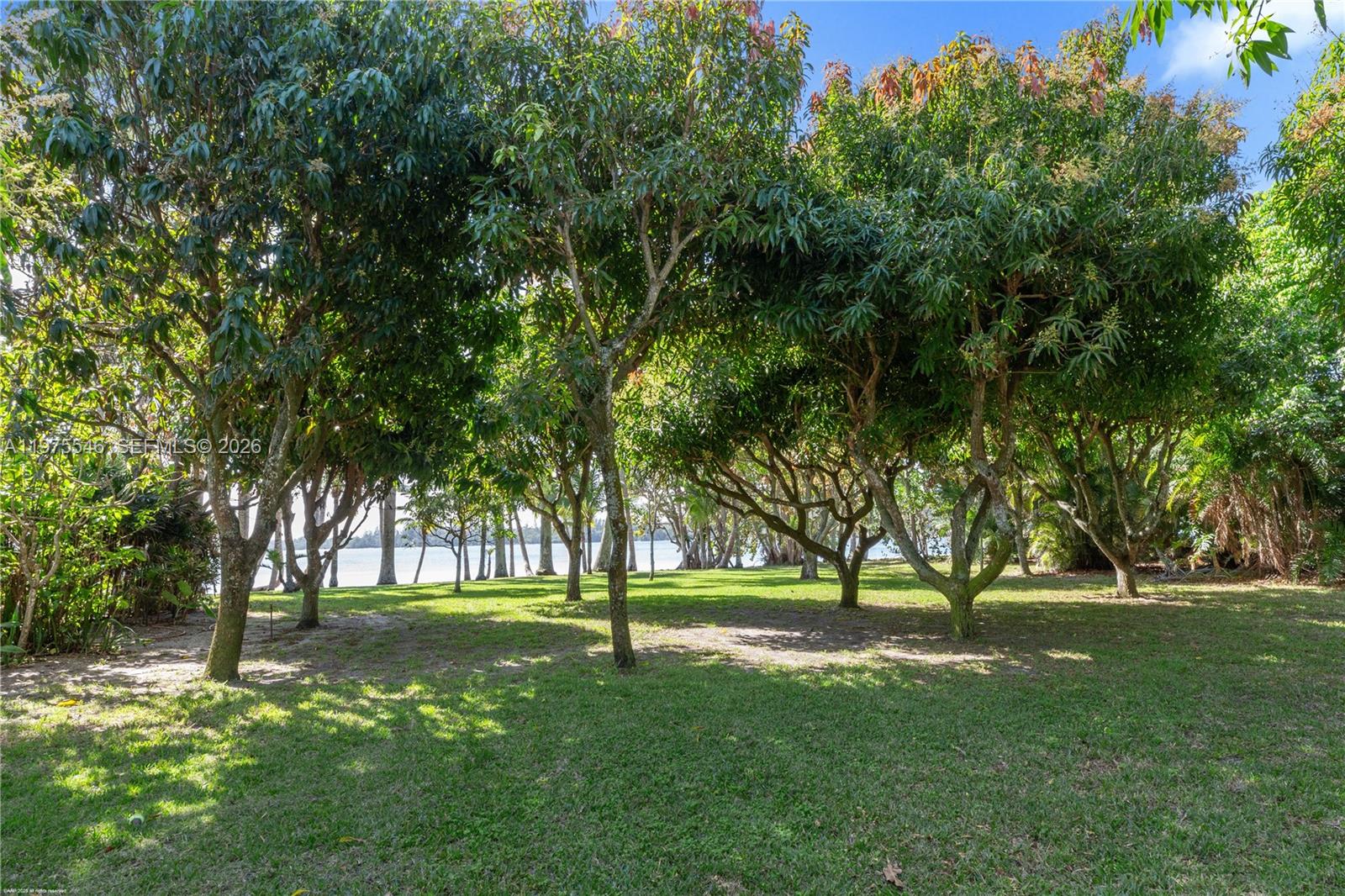 6 Riverview Rd Jupiter Island, FL 33455