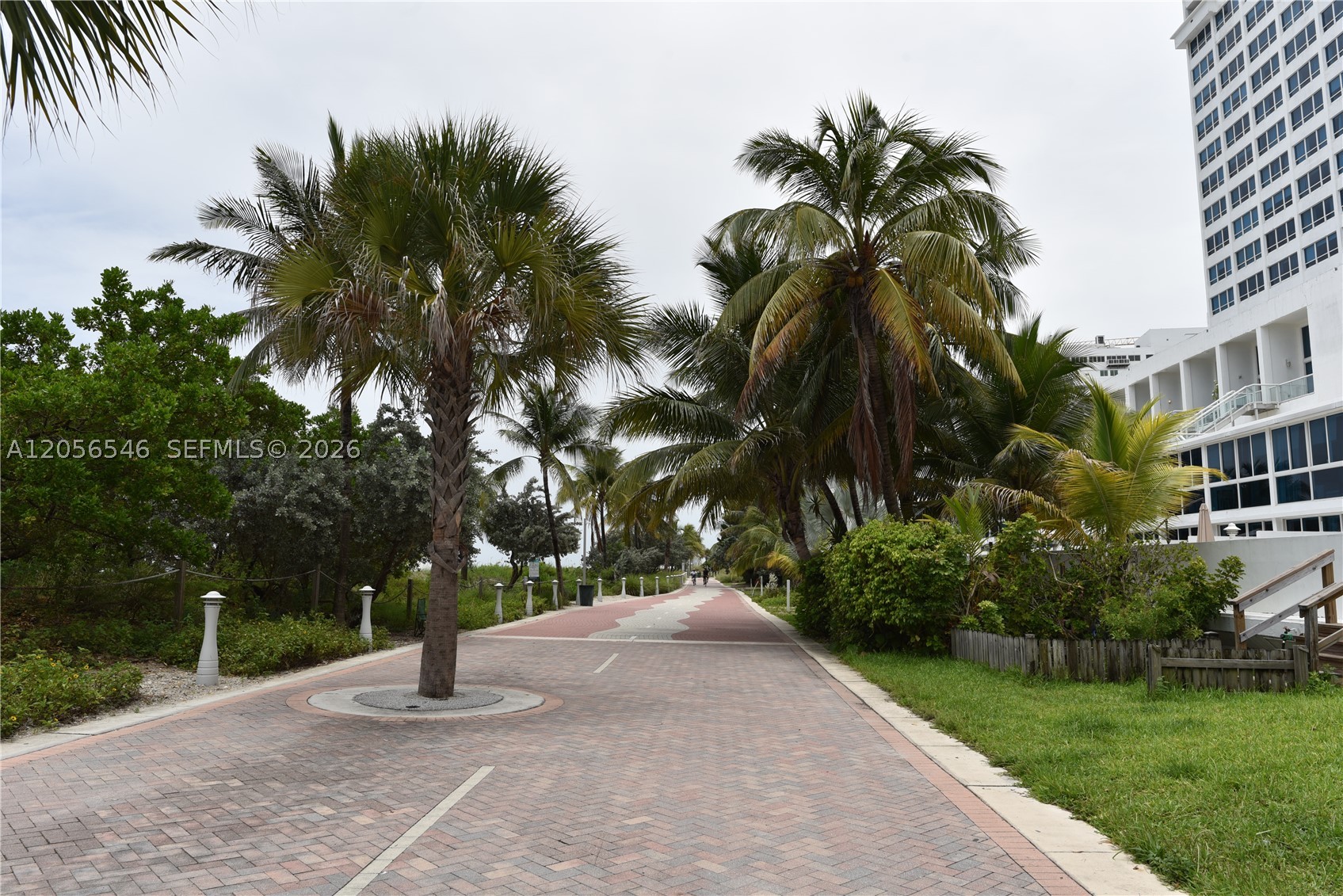5555 Collins Ave #8K