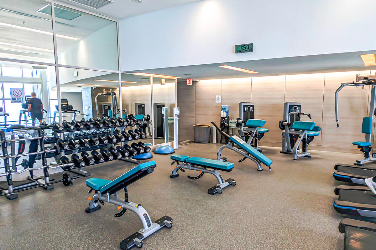 image Trump Royale21