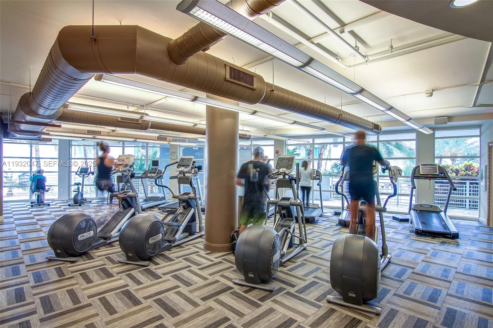 image Vizcayne North35