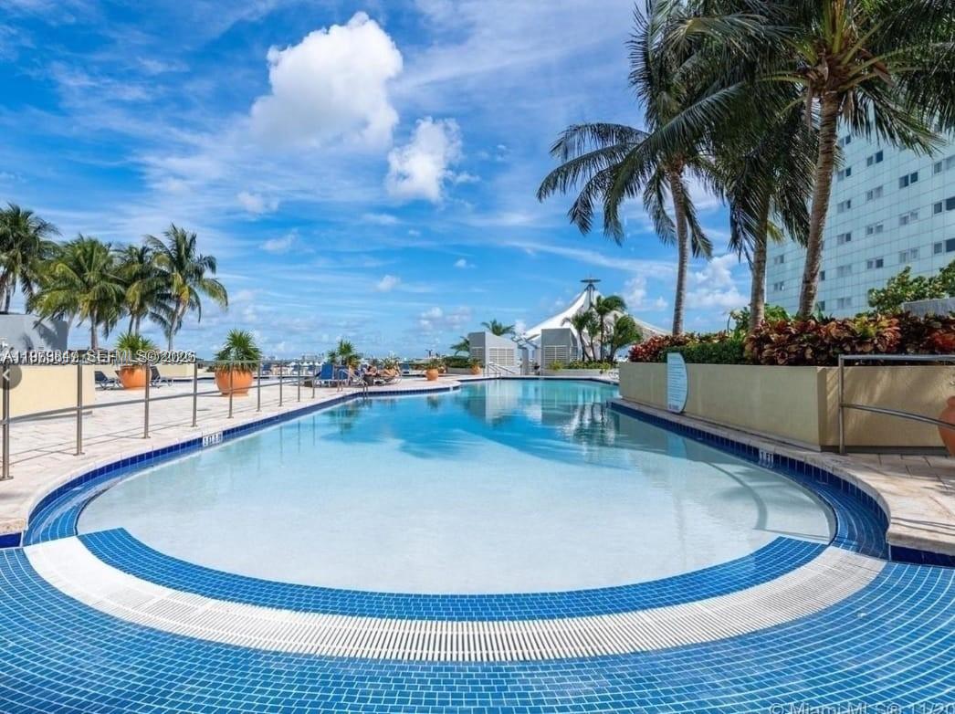 244 NE Biscayne Blvd #440 Miami, FL 33132