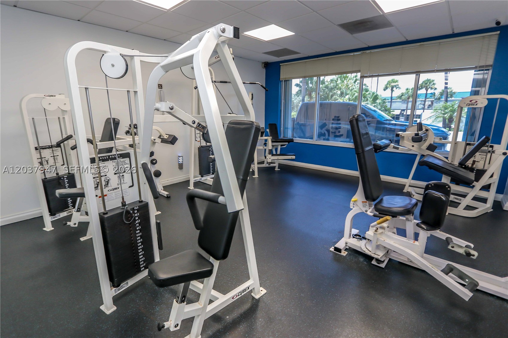 3900 Galt Ocean Dr #403 Fort Lauderdale, FL 33308