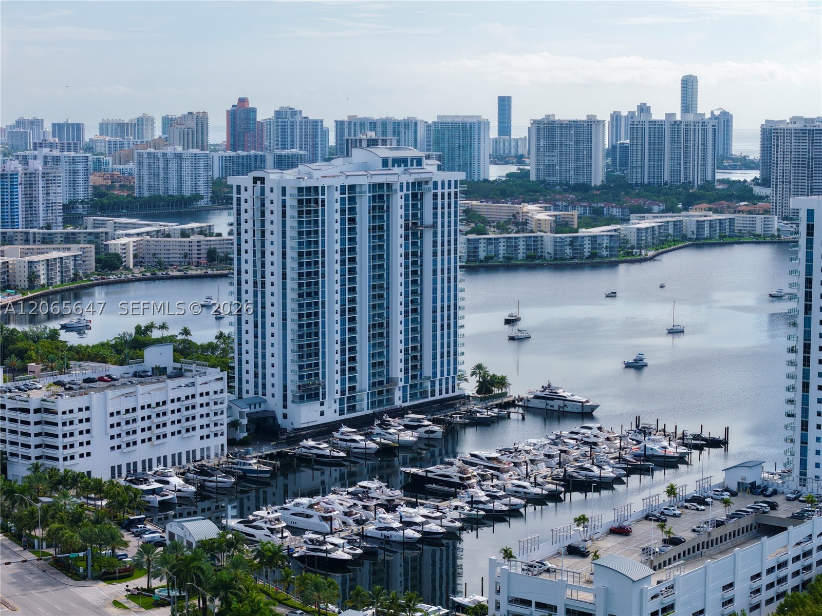 image Marina Palms69