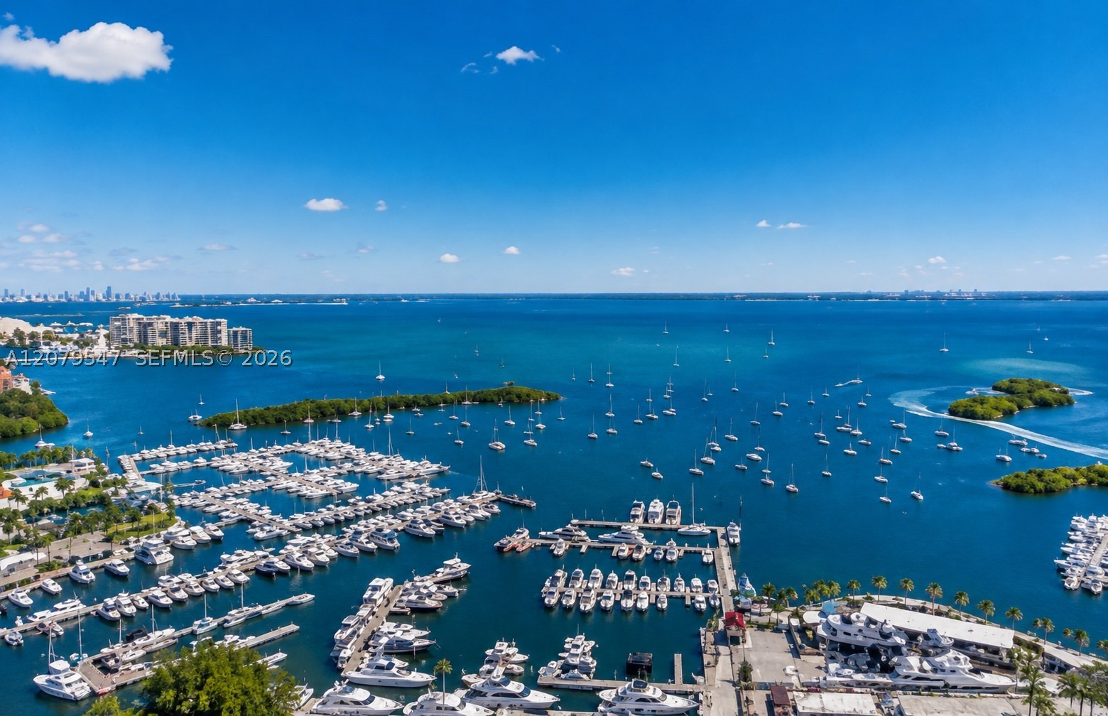 2655 S Bayshore Dr #1406 Miami, FL 33133