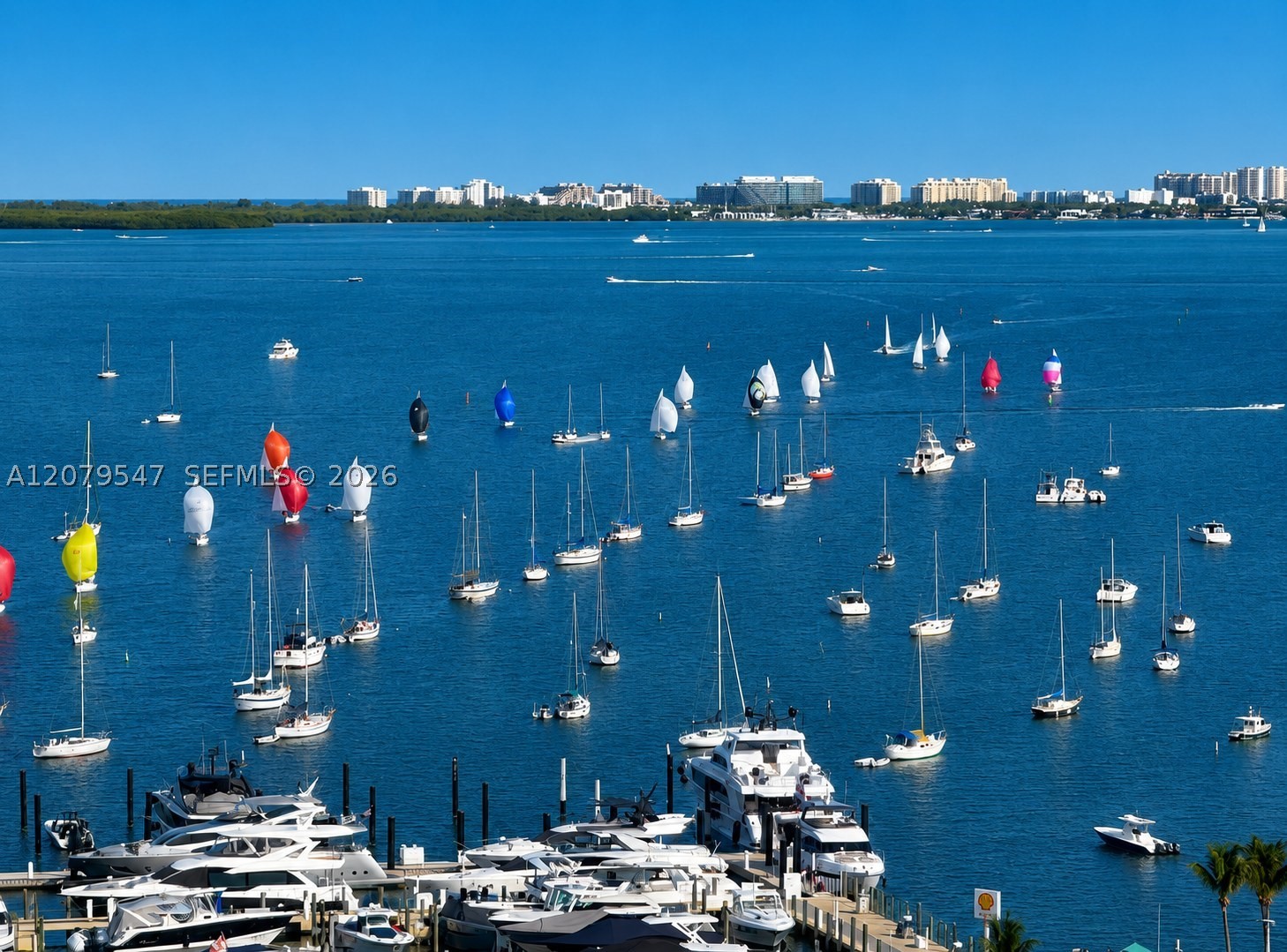 2655 S Bayshore Dr #1406 Miami, FL 33133