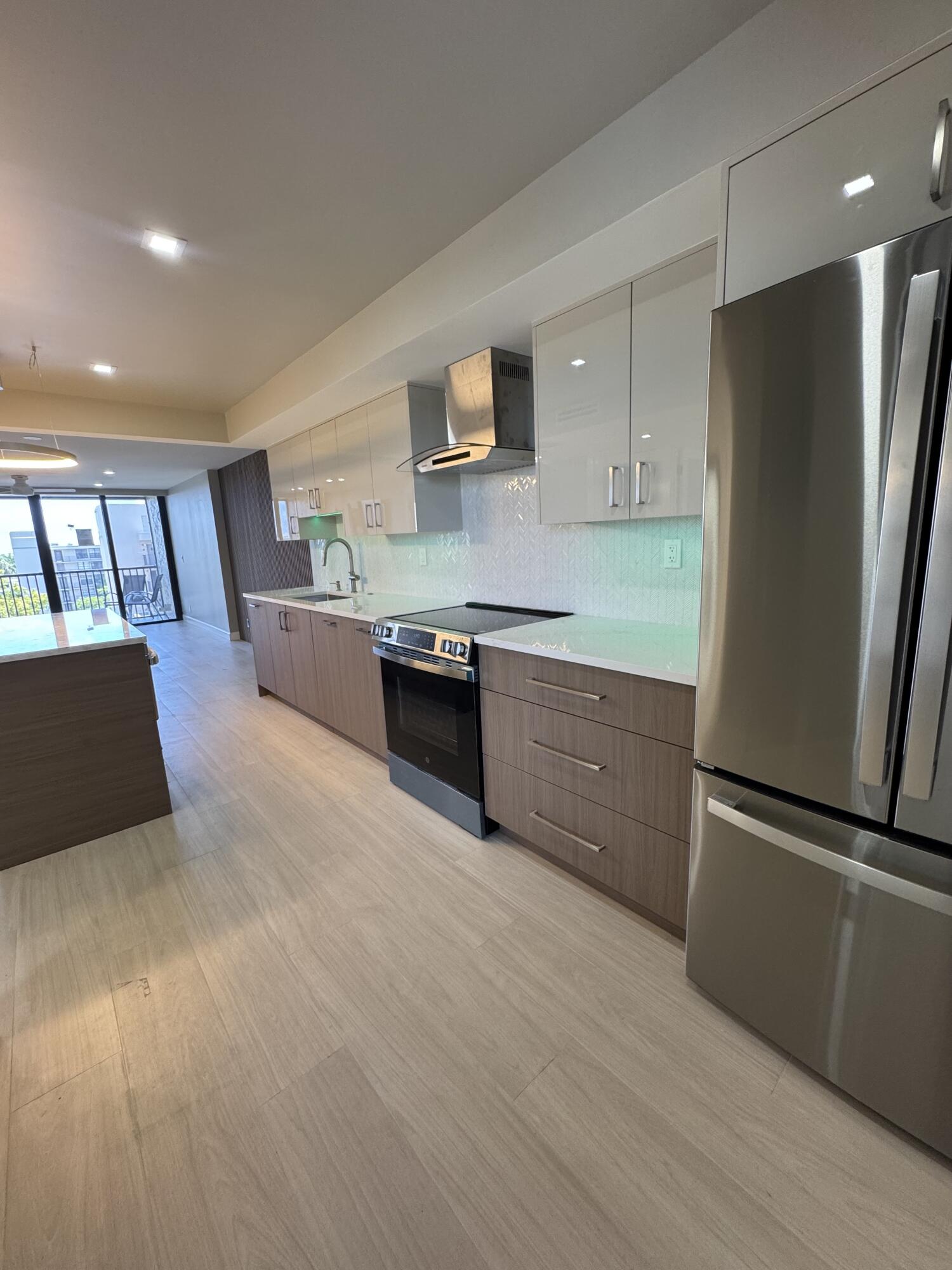 12 Royal Palm #6030