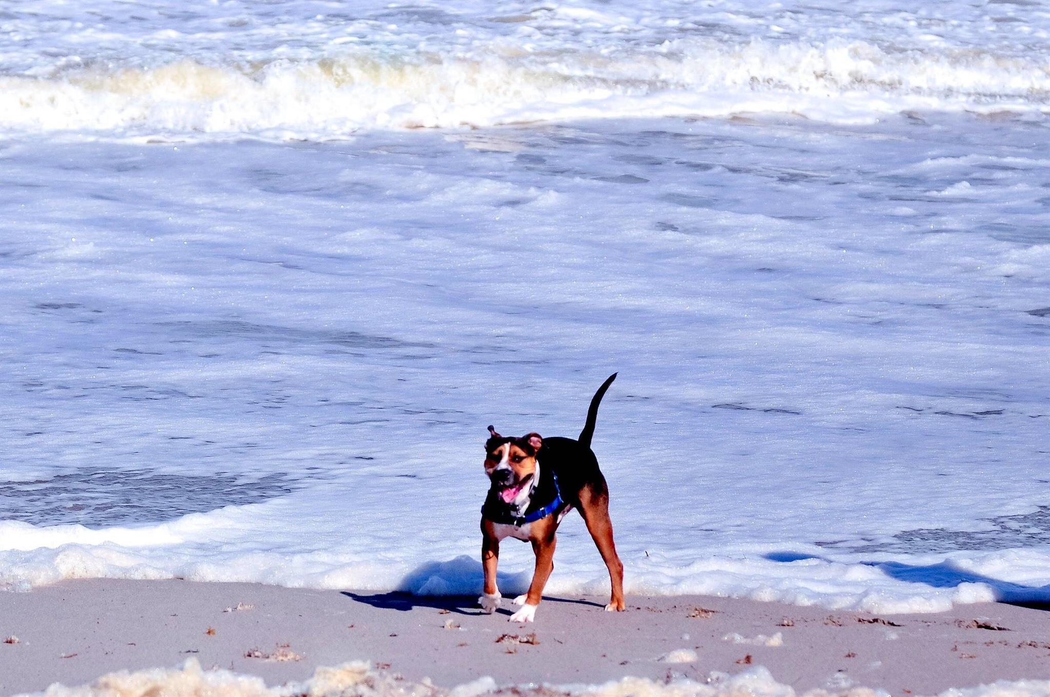 2033 Staysail Ln Jupiter, FL 33477