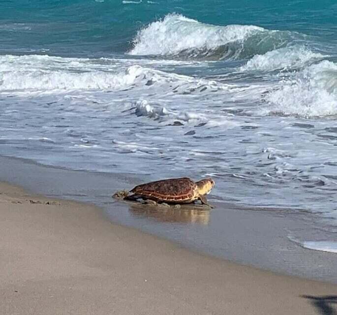 100 Ocean Trl #301 Jupiter, FL 33477