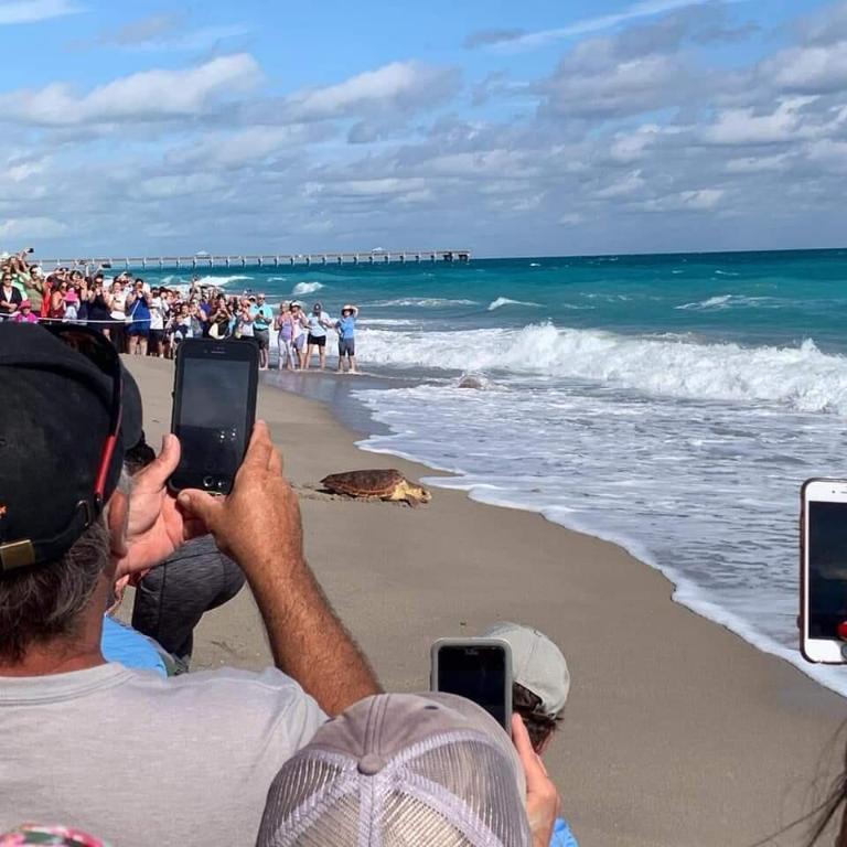 100 Ocean Trl #301 Jupiter, FL 33477