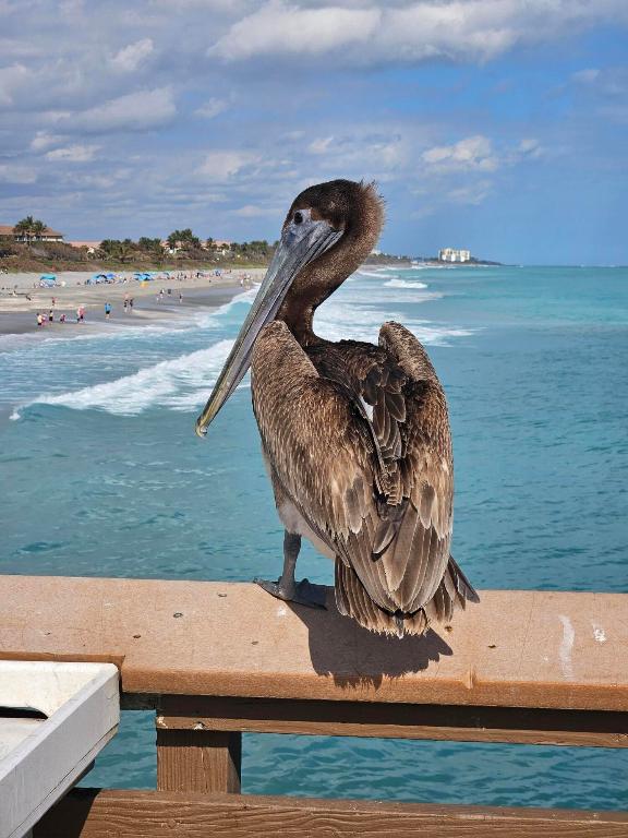 100 Ocean Trl #301 Jupiter, FL 33477