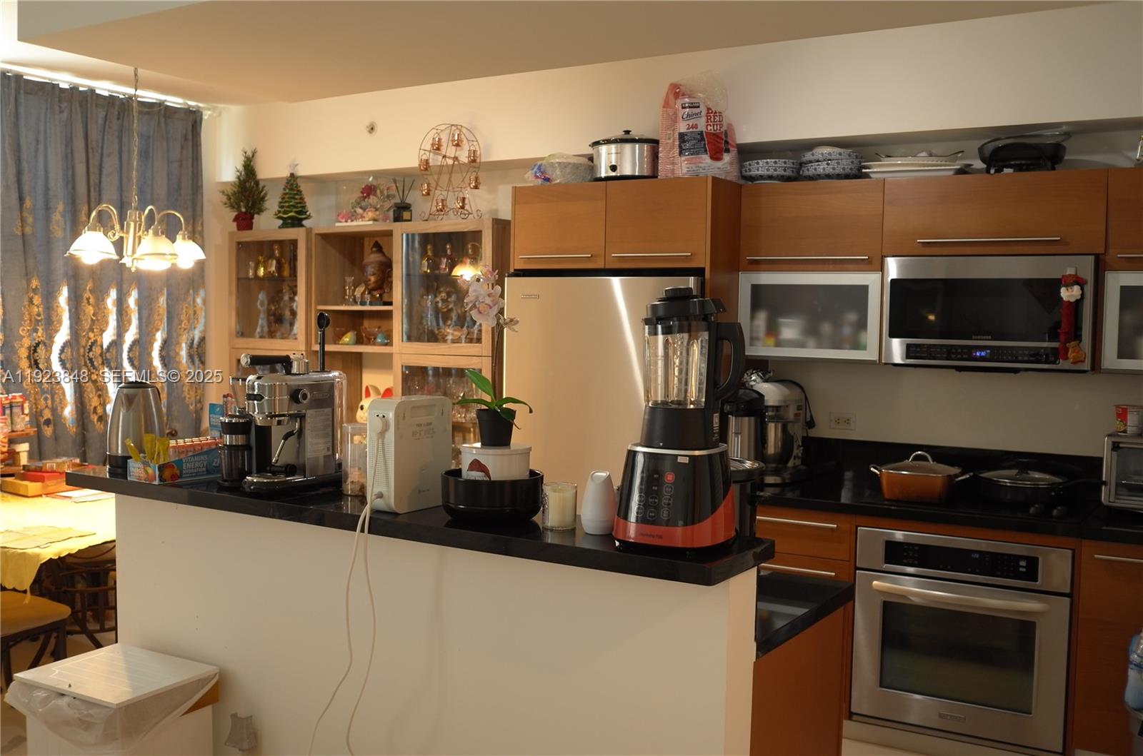 253 NE 2nd St #908 Miami, FL 33132