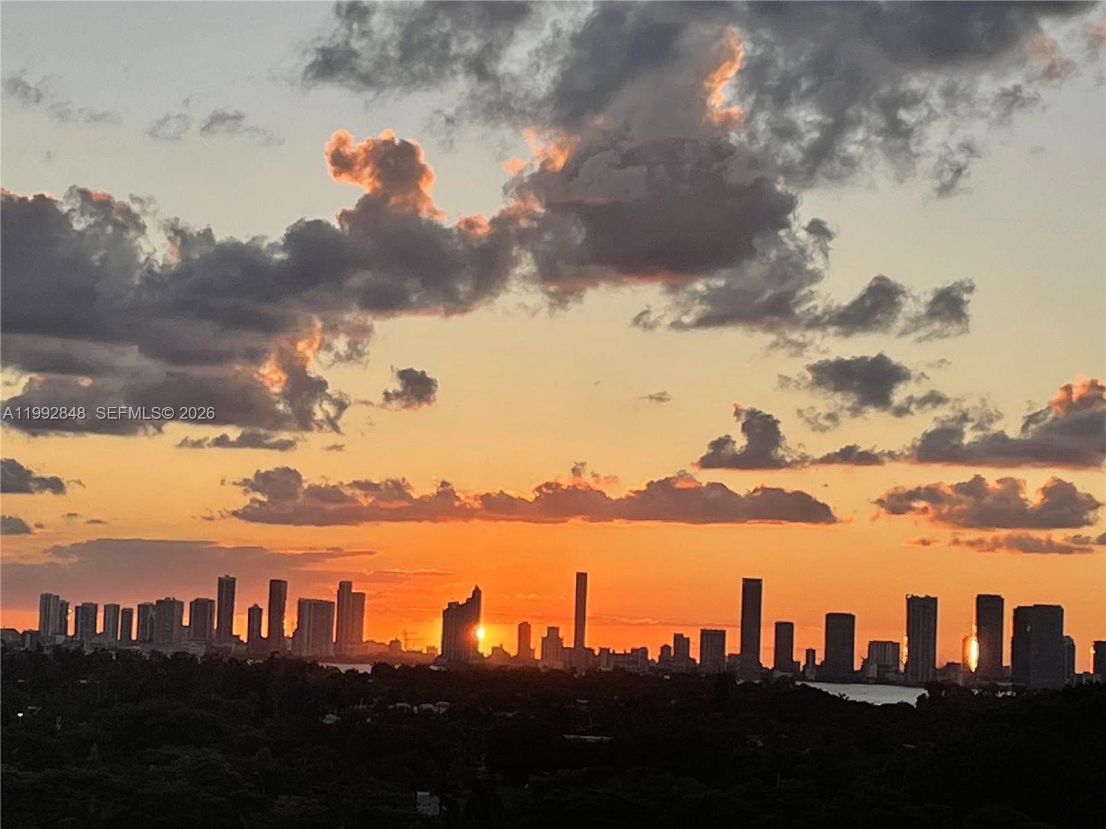 2655 Collins Ave #1204