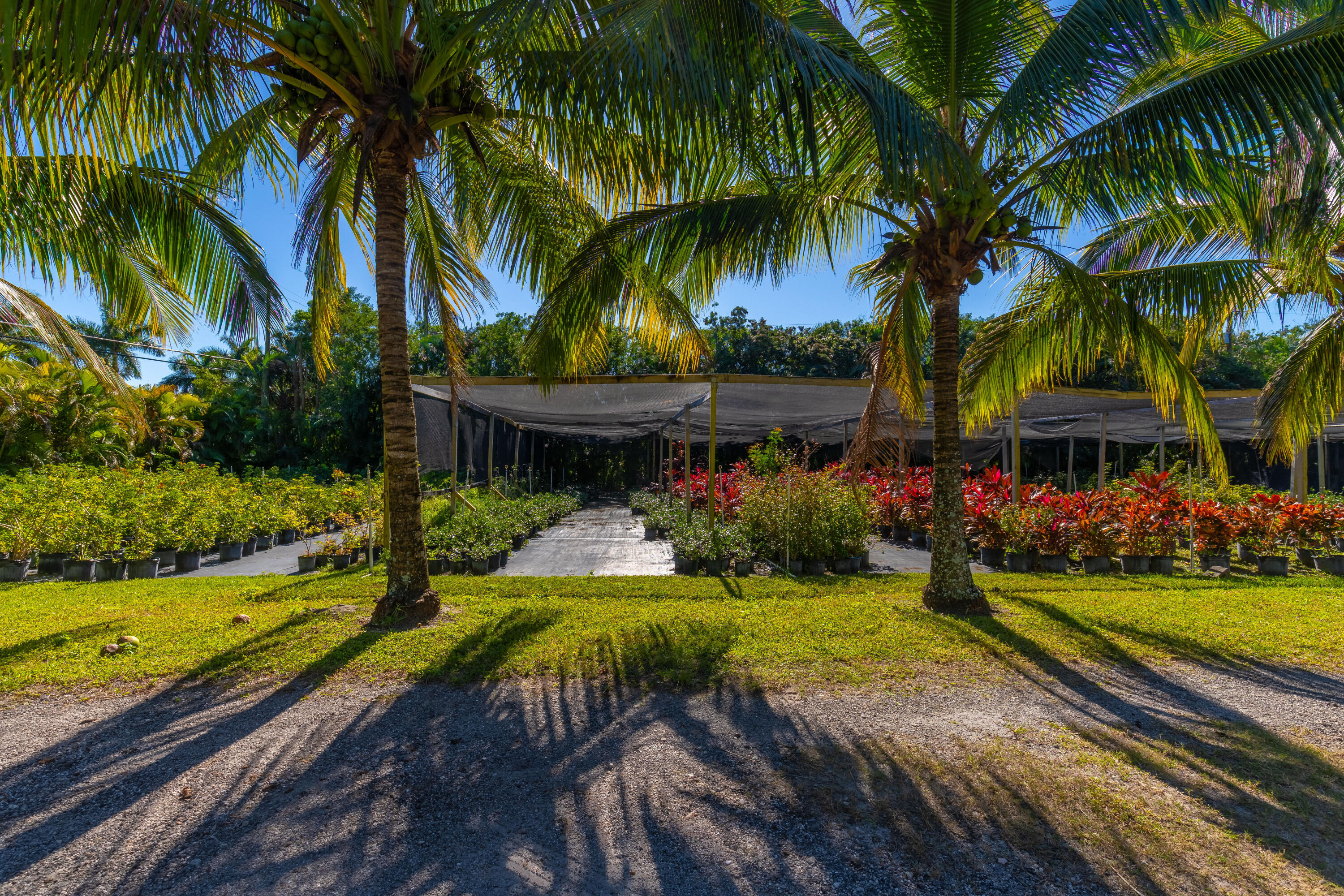 2943 B Loxahatchee Groves, FL 33470