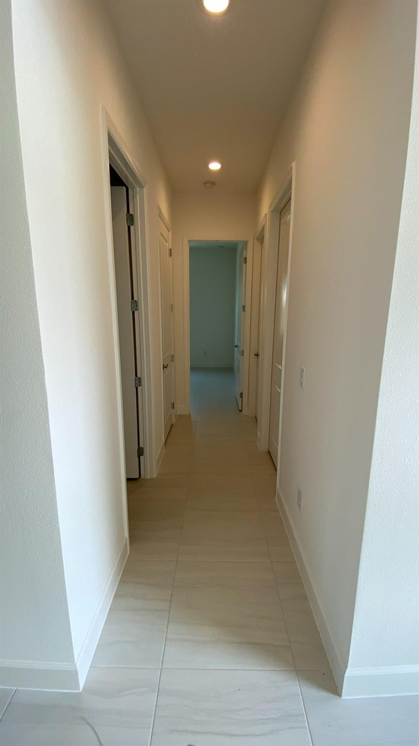 32179 Logan Elm Ter Wesley Chapel, FL 33543