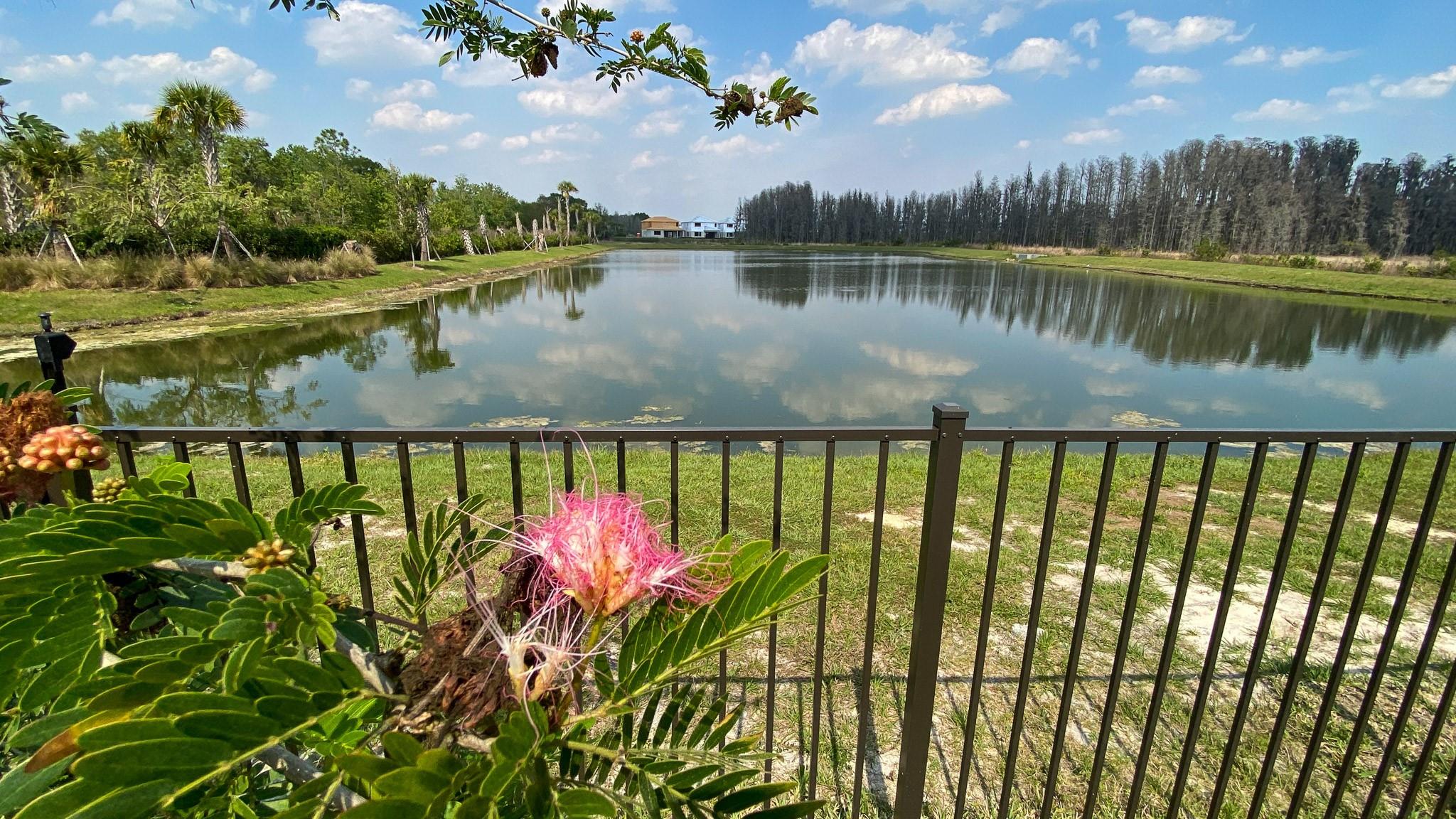 32179 Logan Elm Ter Wesley Chapel, FL 33543