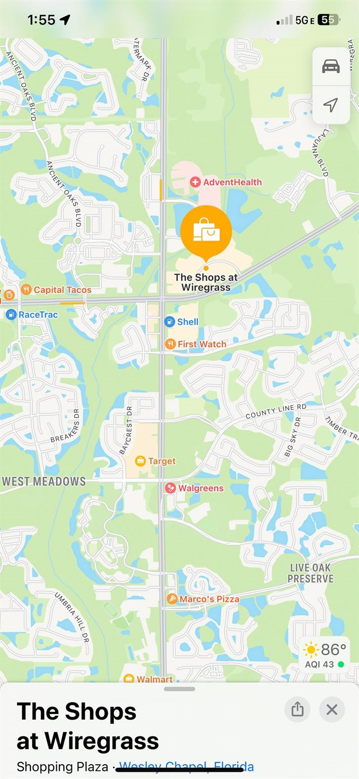 32179 Logan Elm Ter Wesley Chapel, FL 33543