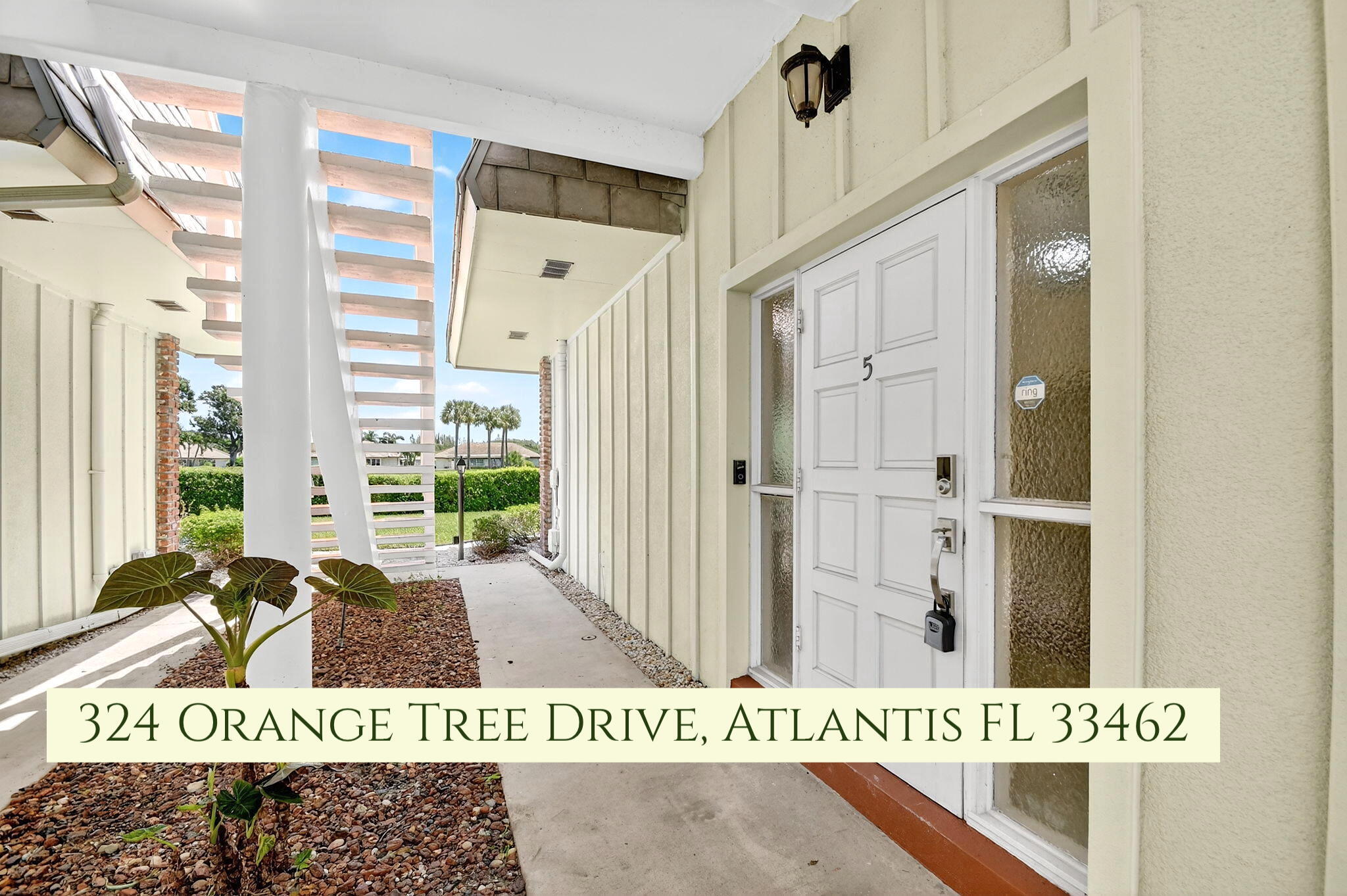 324 Orange Tree #5