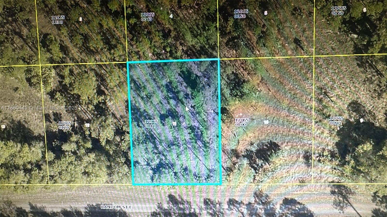 1241 E Random St Lehigh Acres, FL 33974 1241 E Random St Lehigh Acres, FL 33974