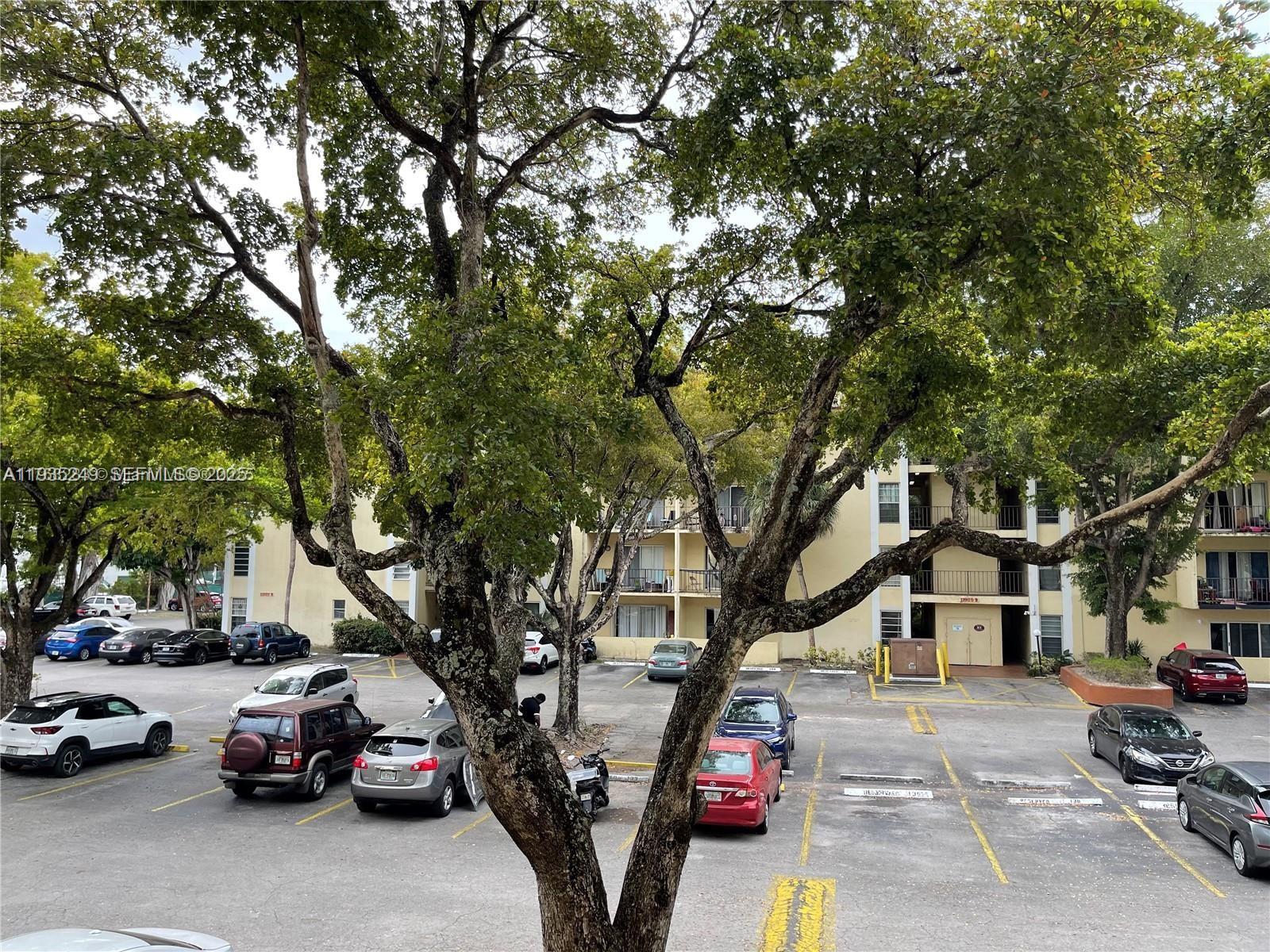 12035 NE 2nd Ave #A209 North Miami, FL 33161