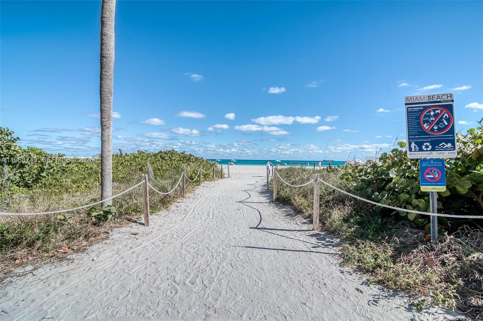 image The Caribbean15