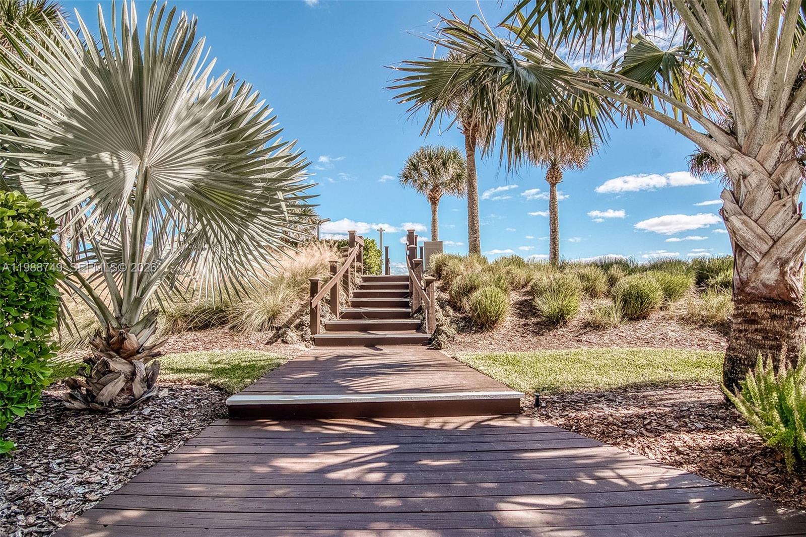 image The Caribbean23