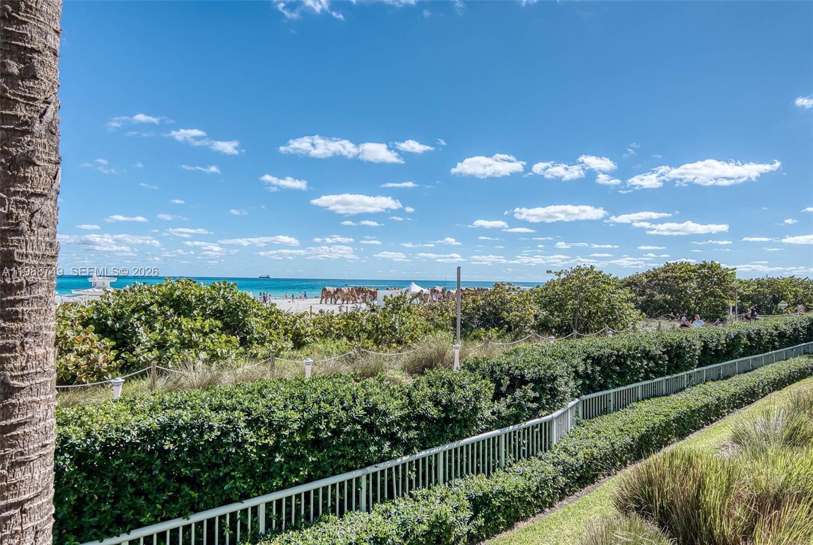 image The Caribbean24