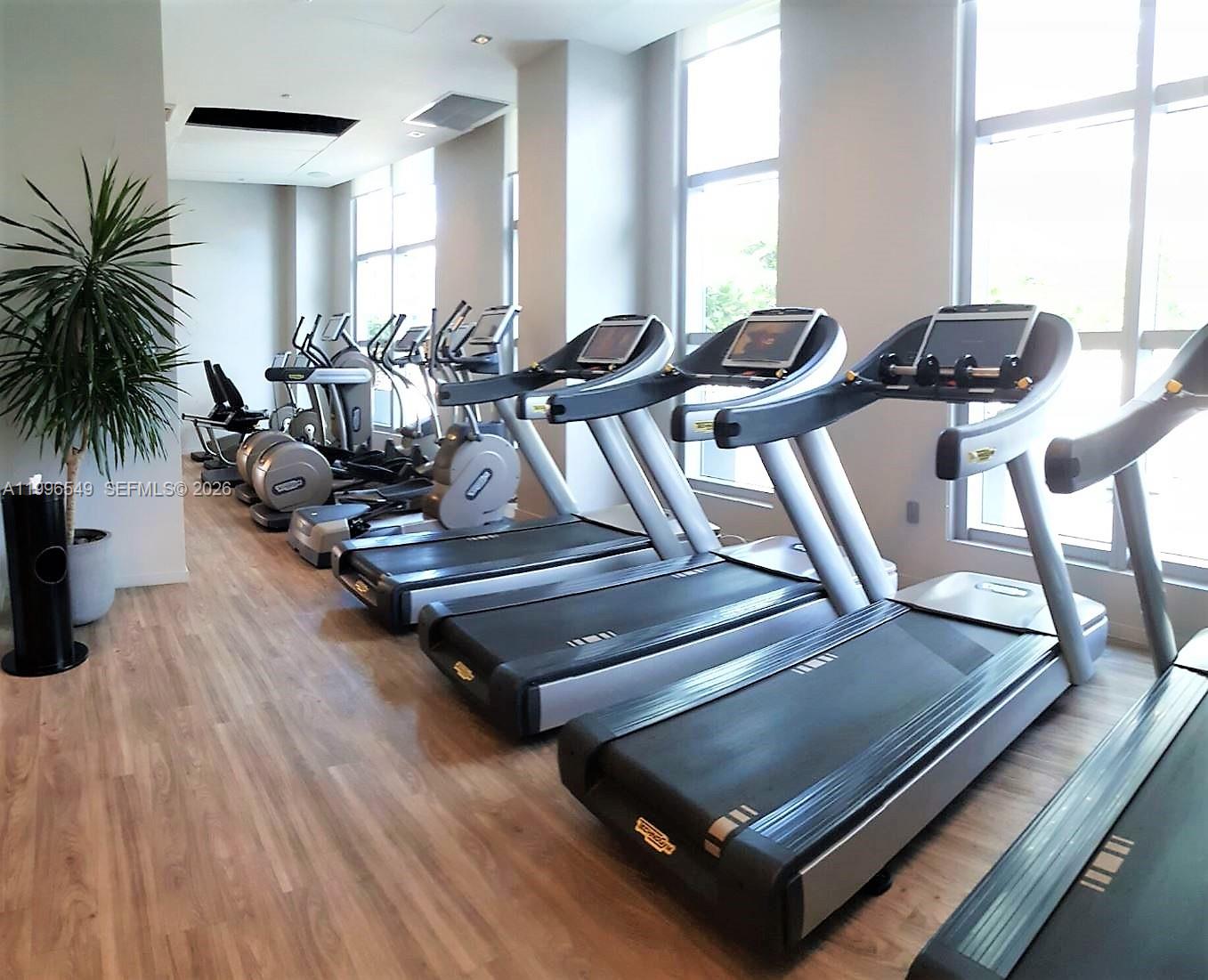 image 1100 Millecento14