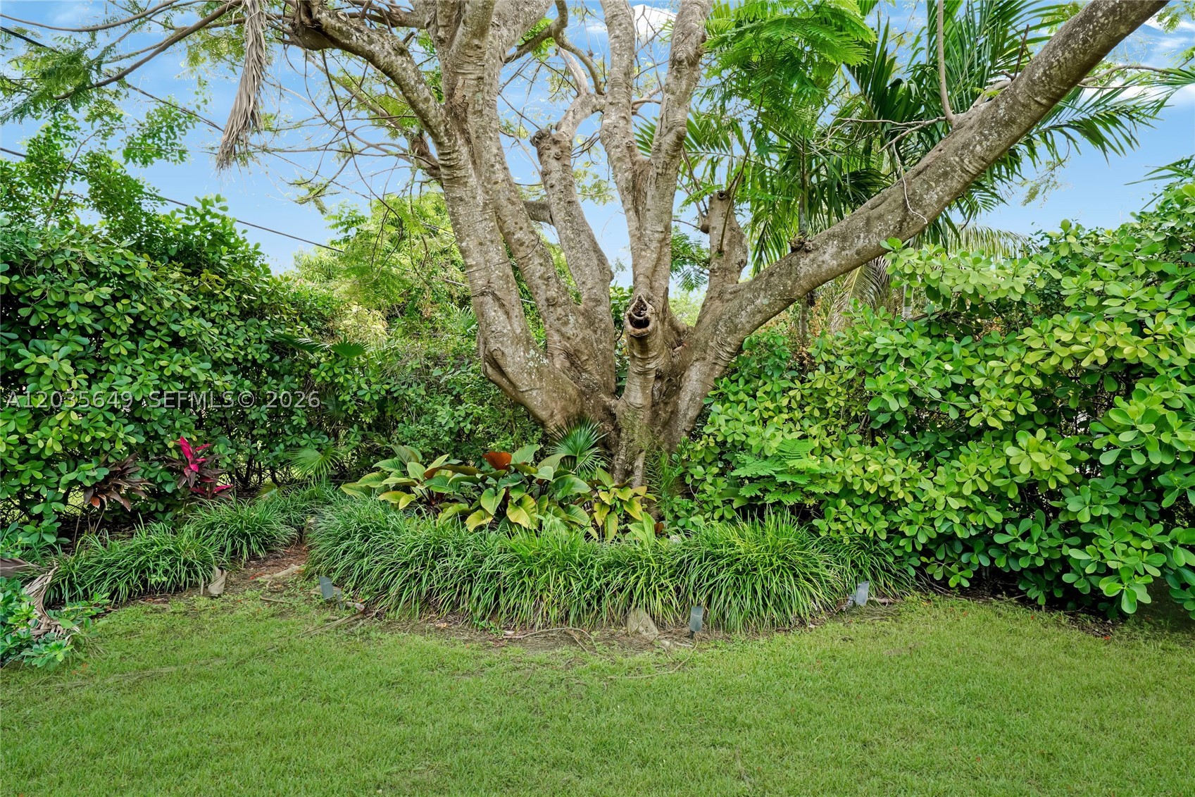 6600 SW 144th St Coral Gables, FL 33158
