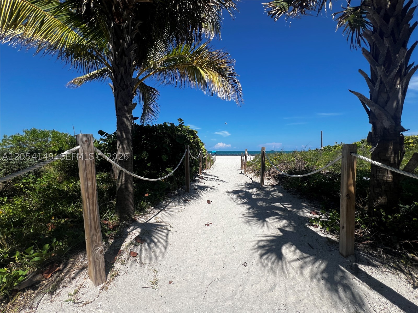 2457 Collins Ave #402