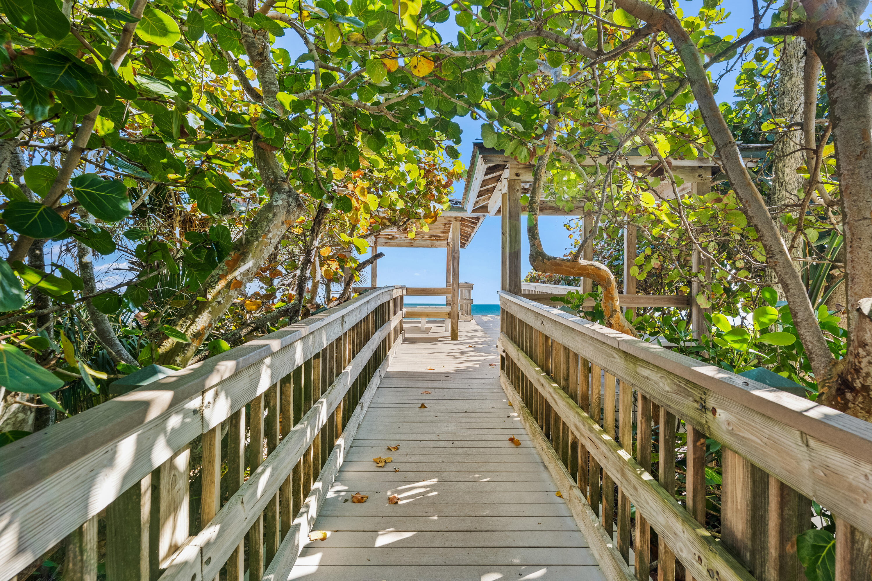 210 N Camelia Vero Beach, FL 32963