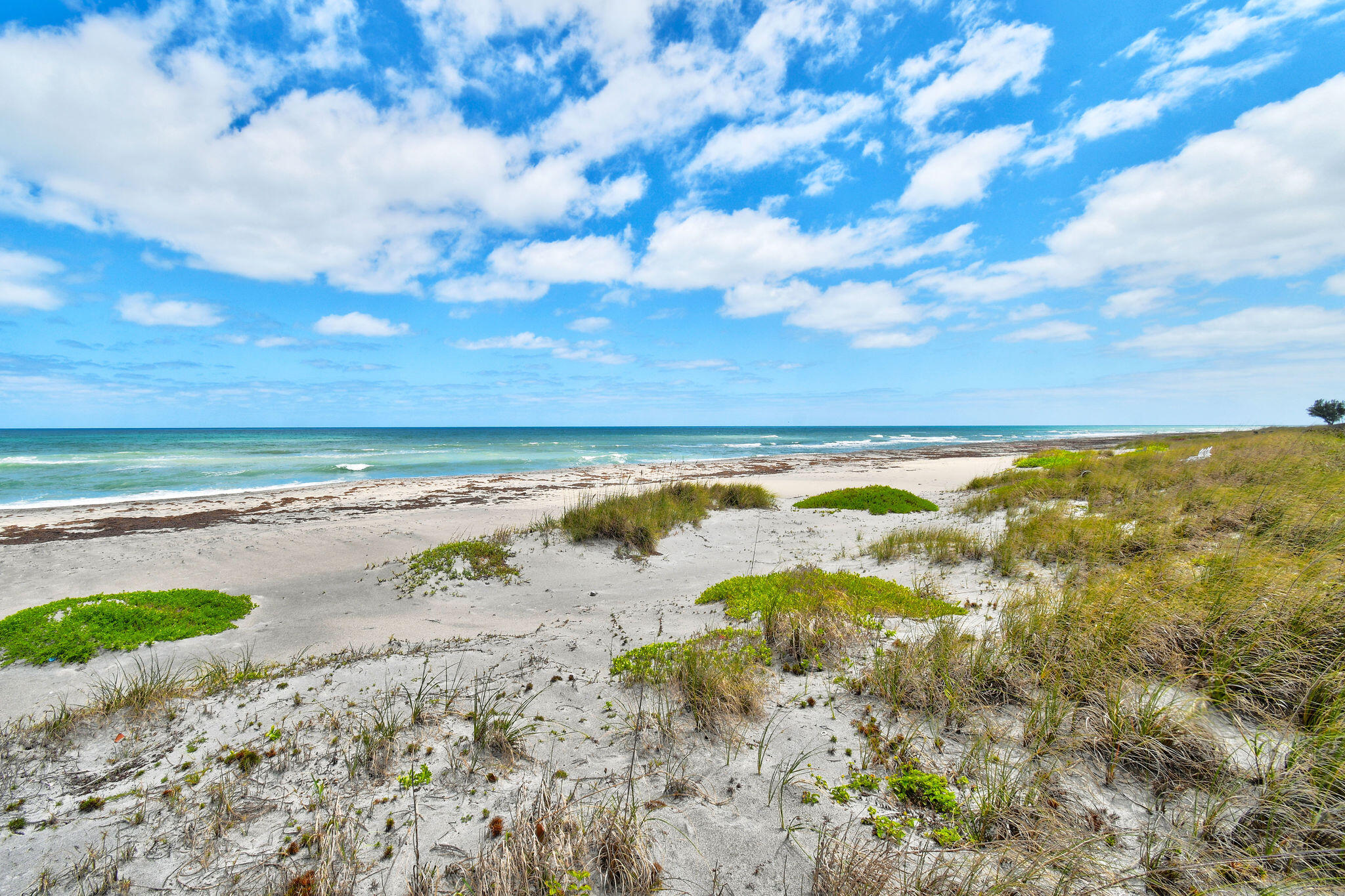 114 N Beach Jupiter Island, FL 33455