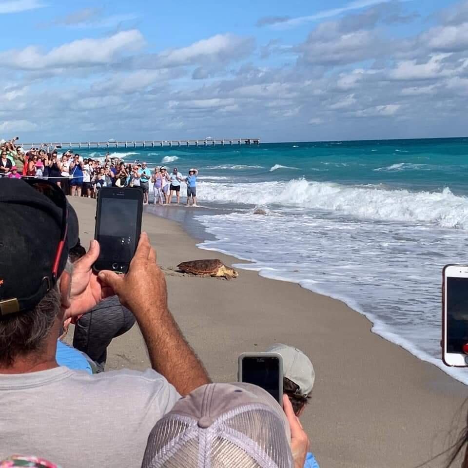 303 Mainsail Jupiter, FL 33477