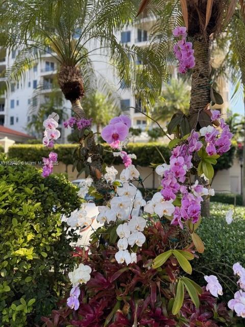 13621 Deering Bay Dr #502 Coral Gables, FL 33158