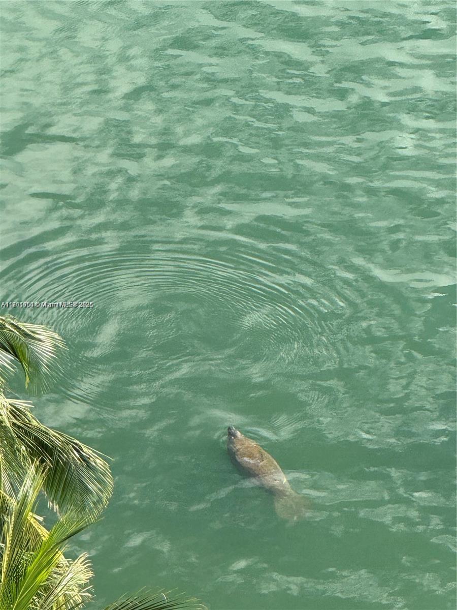 1155 Brickell Bay Dr #2004 Miami, FL 33131