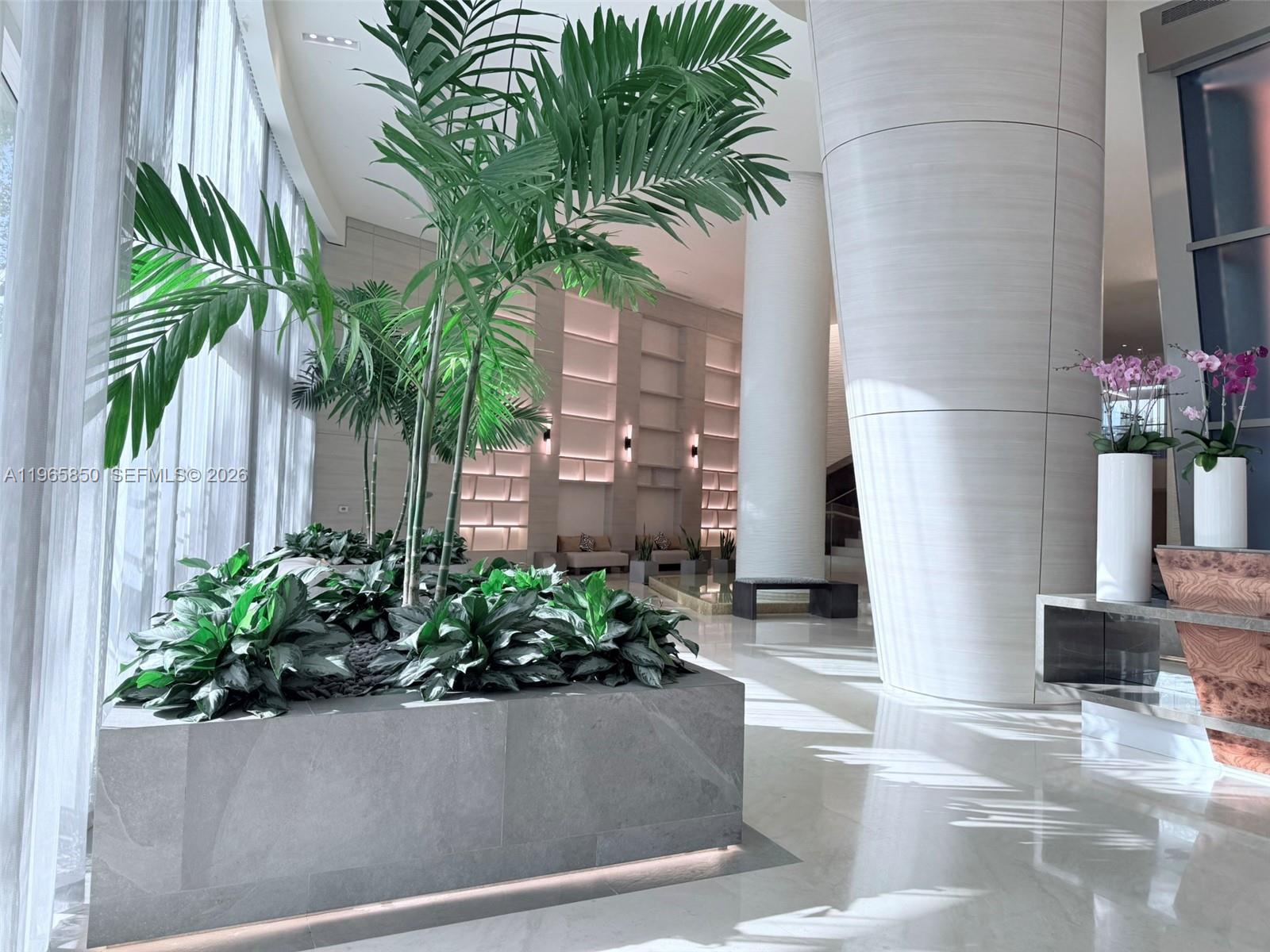 image Trump Royale37