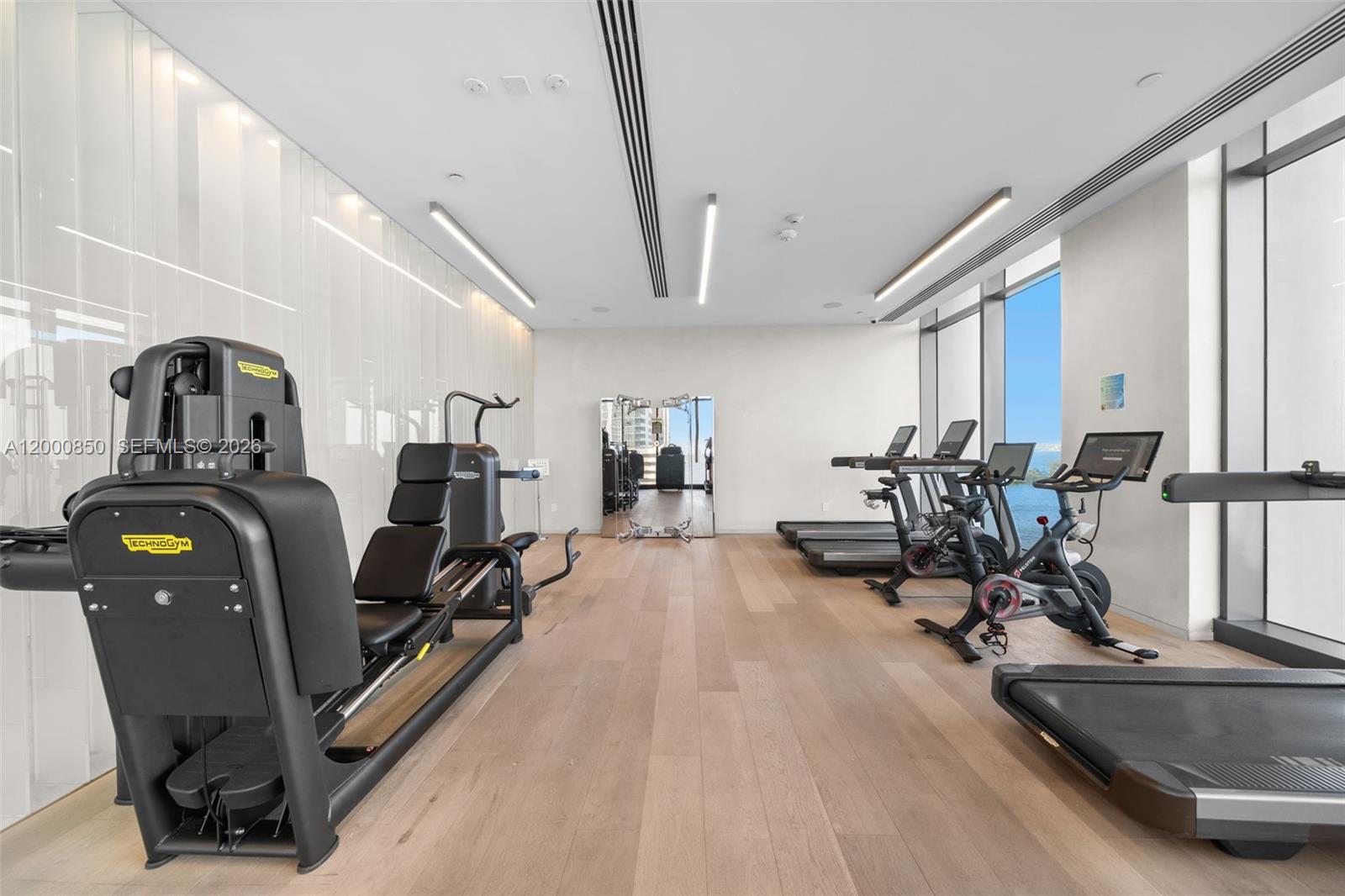 3131 NE 7th Ave #3306 Miami, FL 33137