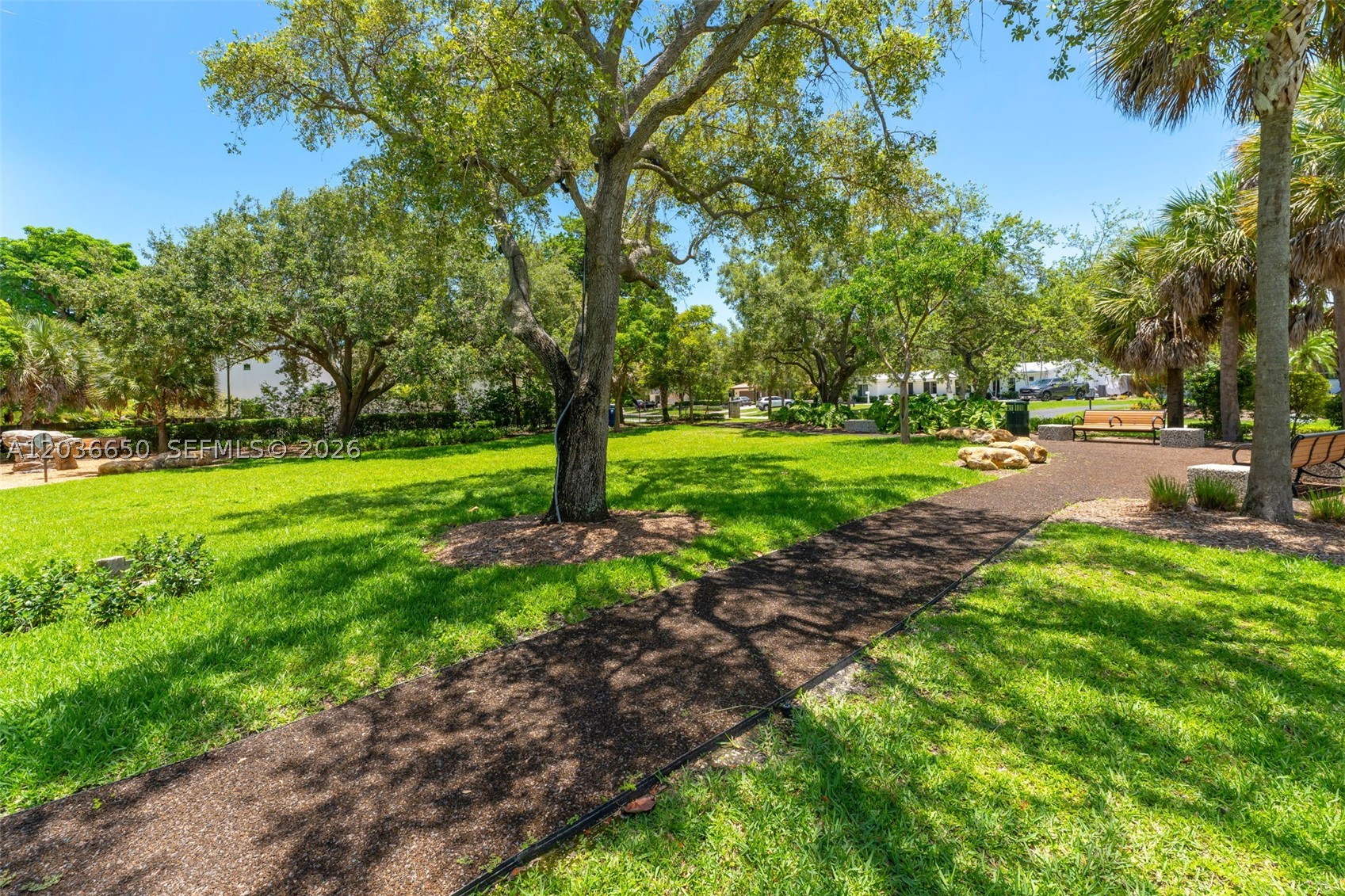6561 Marlin Dr Coral Gables, FL 33158