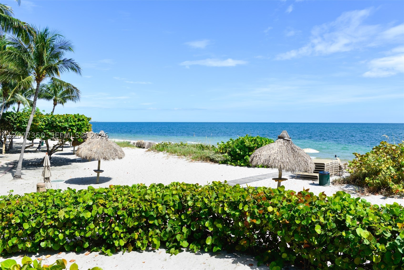image Towers of Key Biscayne34
