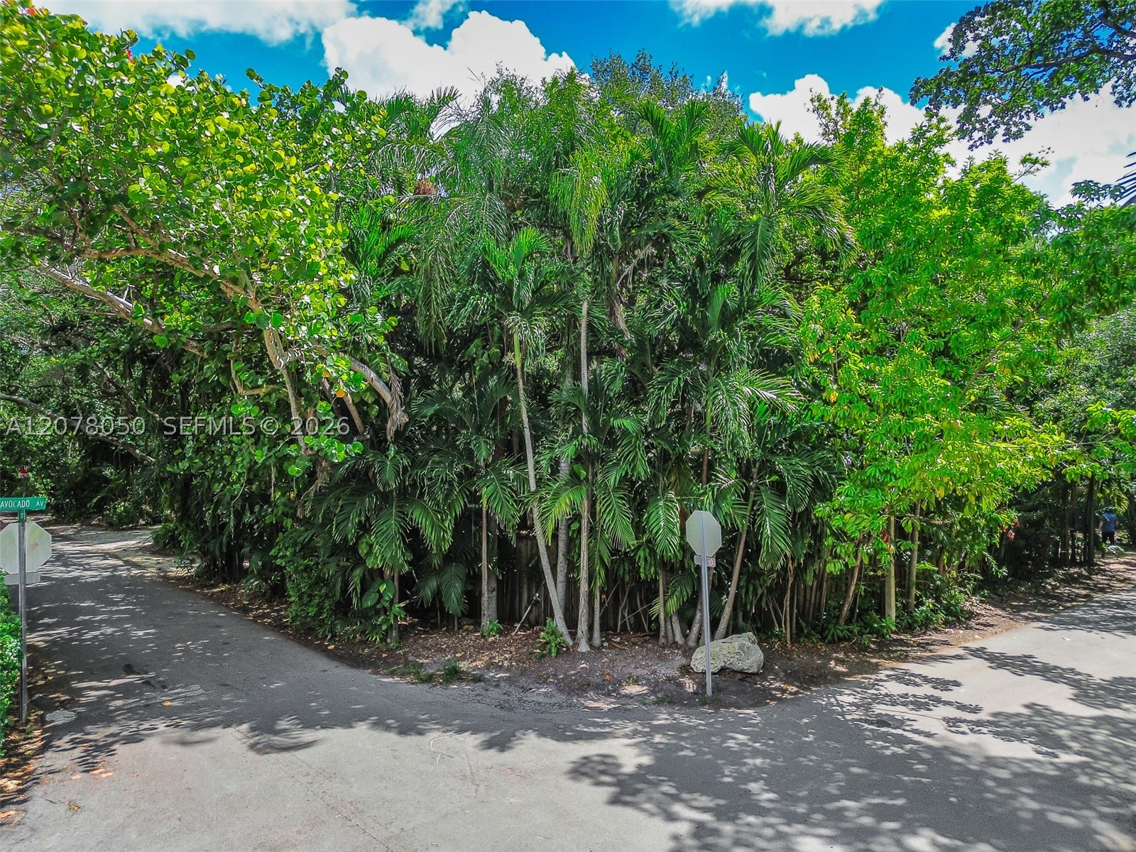 3595 Avocado Ave Miami, FL 33133