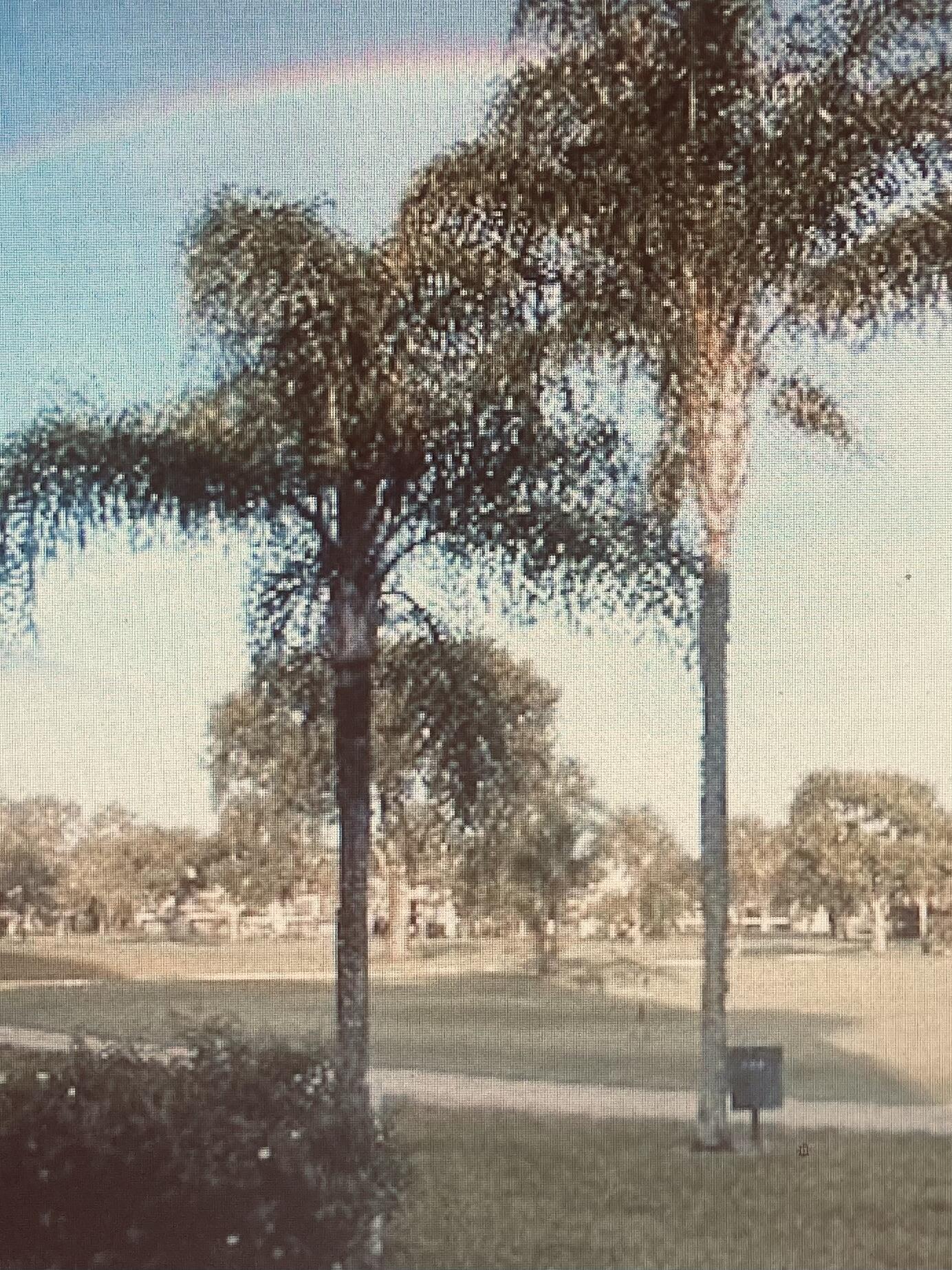 Undisclosed Address Tequesta, FL 33469