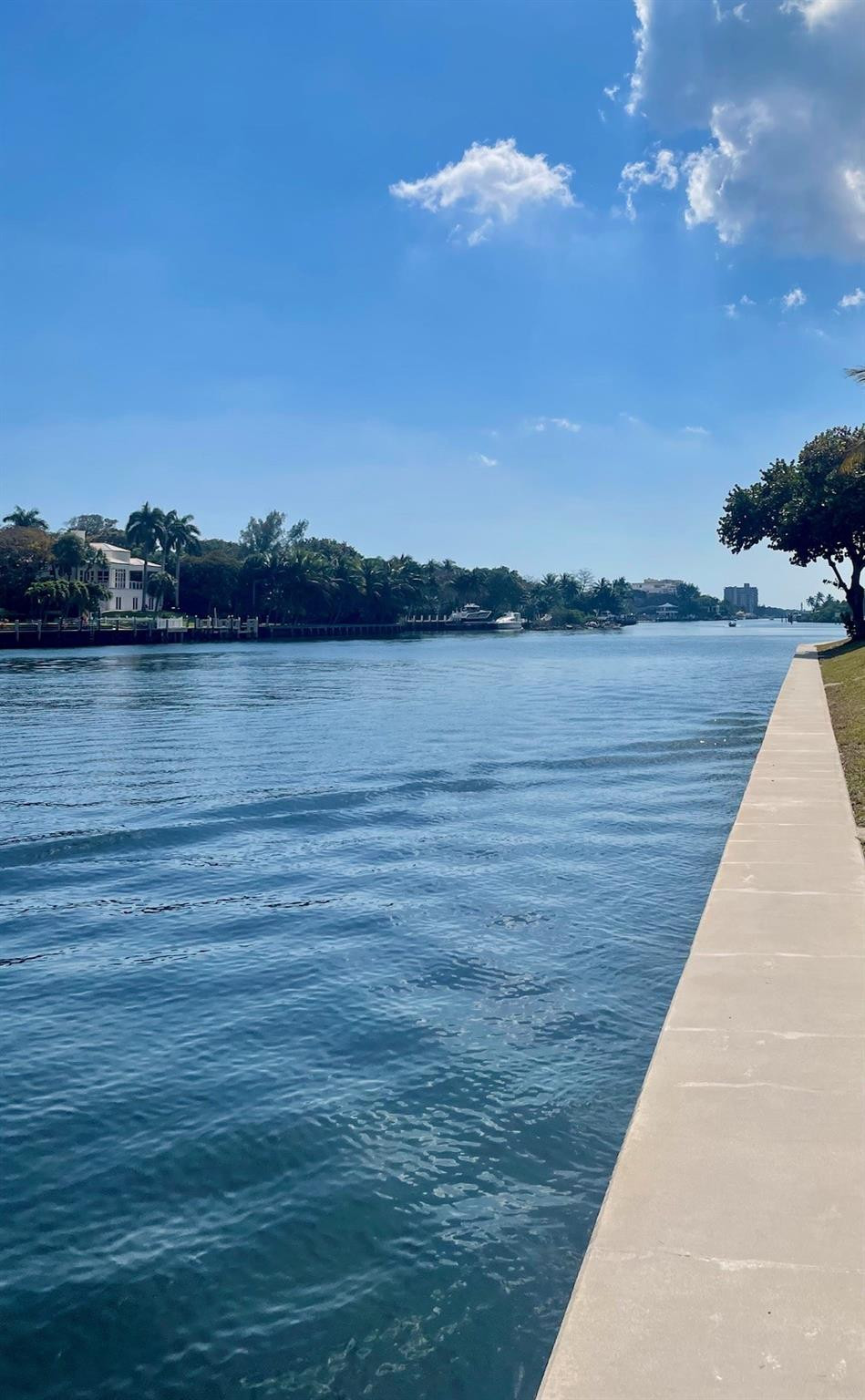 3180 NE 48th #215 Lighthouse Point, FL 33064