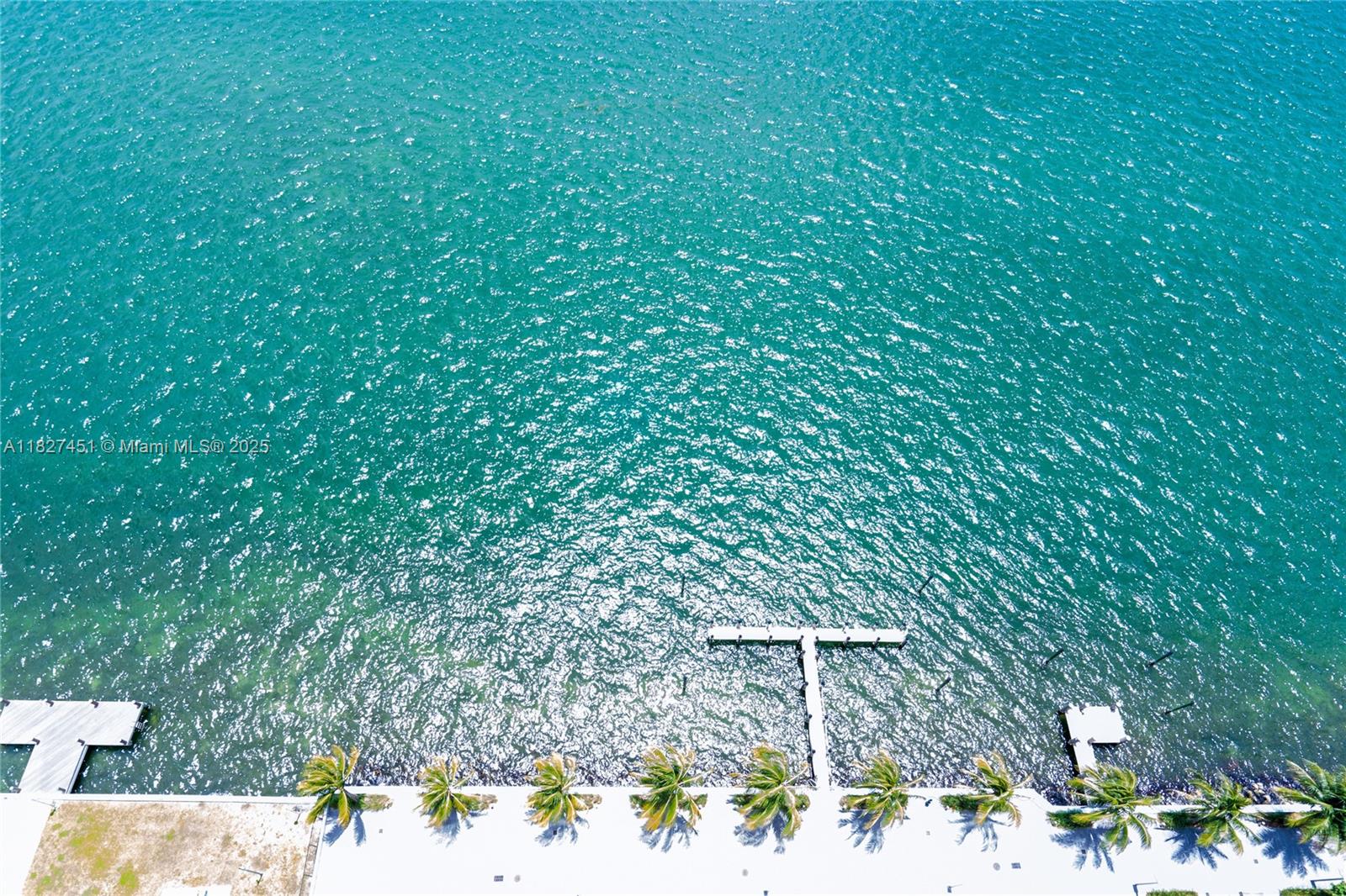 image One Paraiso Condo29