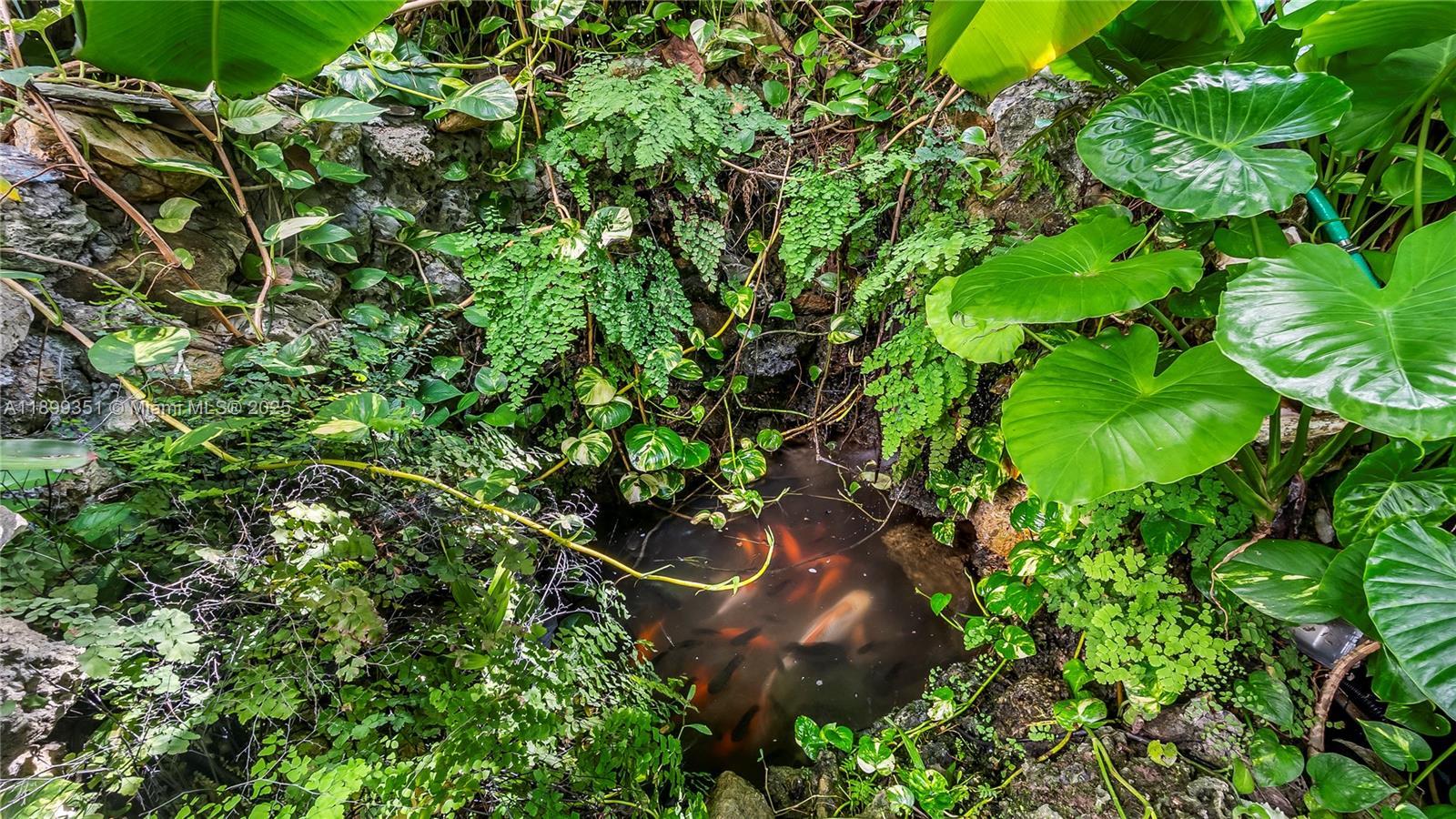 430 Poinciana Is Dr #1710 Sunny Isles Beach, FL 33160