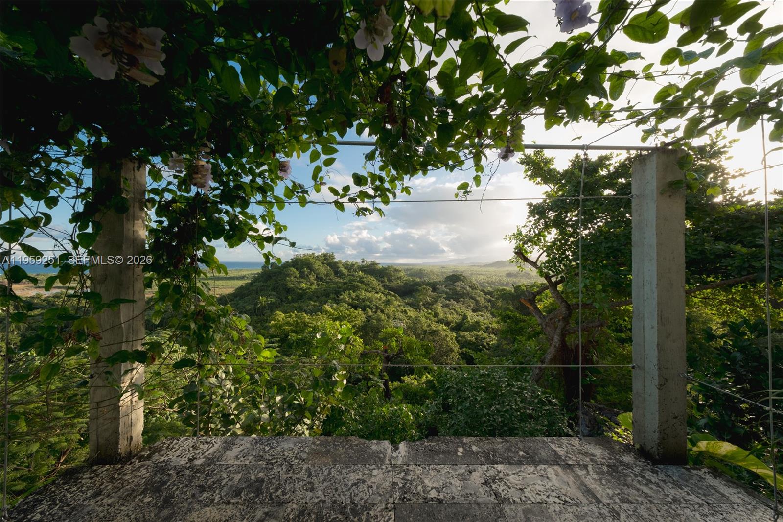 000 8g8f+3v5th El Limón, Dominican Republic 