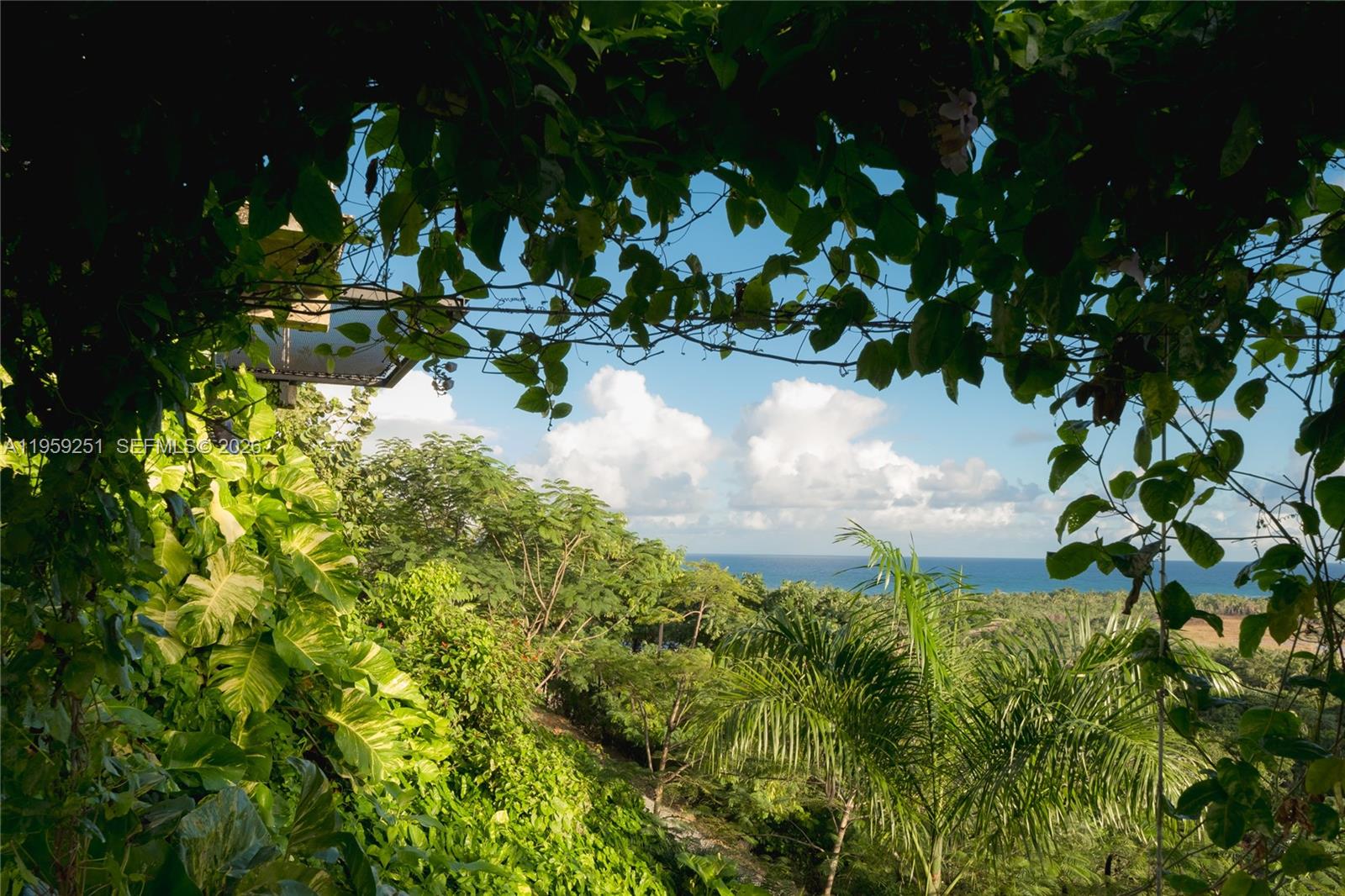 000 8g8f+3v5th El Limón, Dominican Republic 