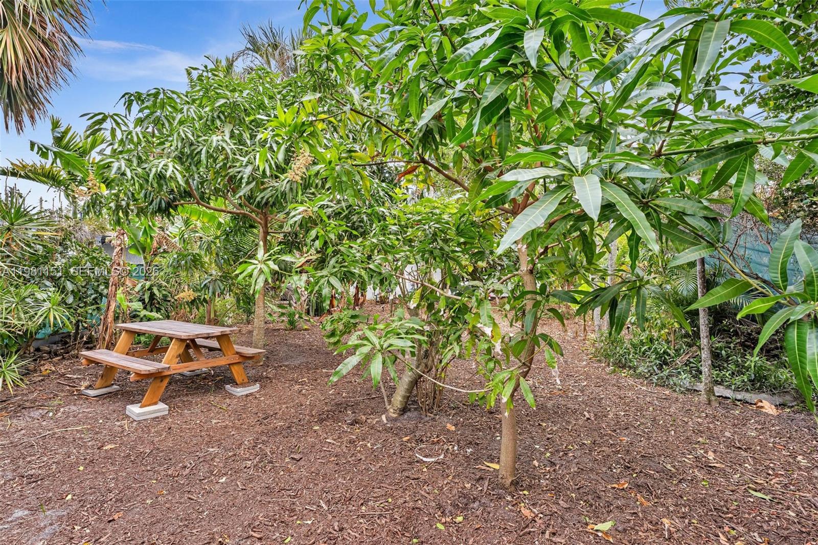 2431 Mayo St Hollywood, FL 33020